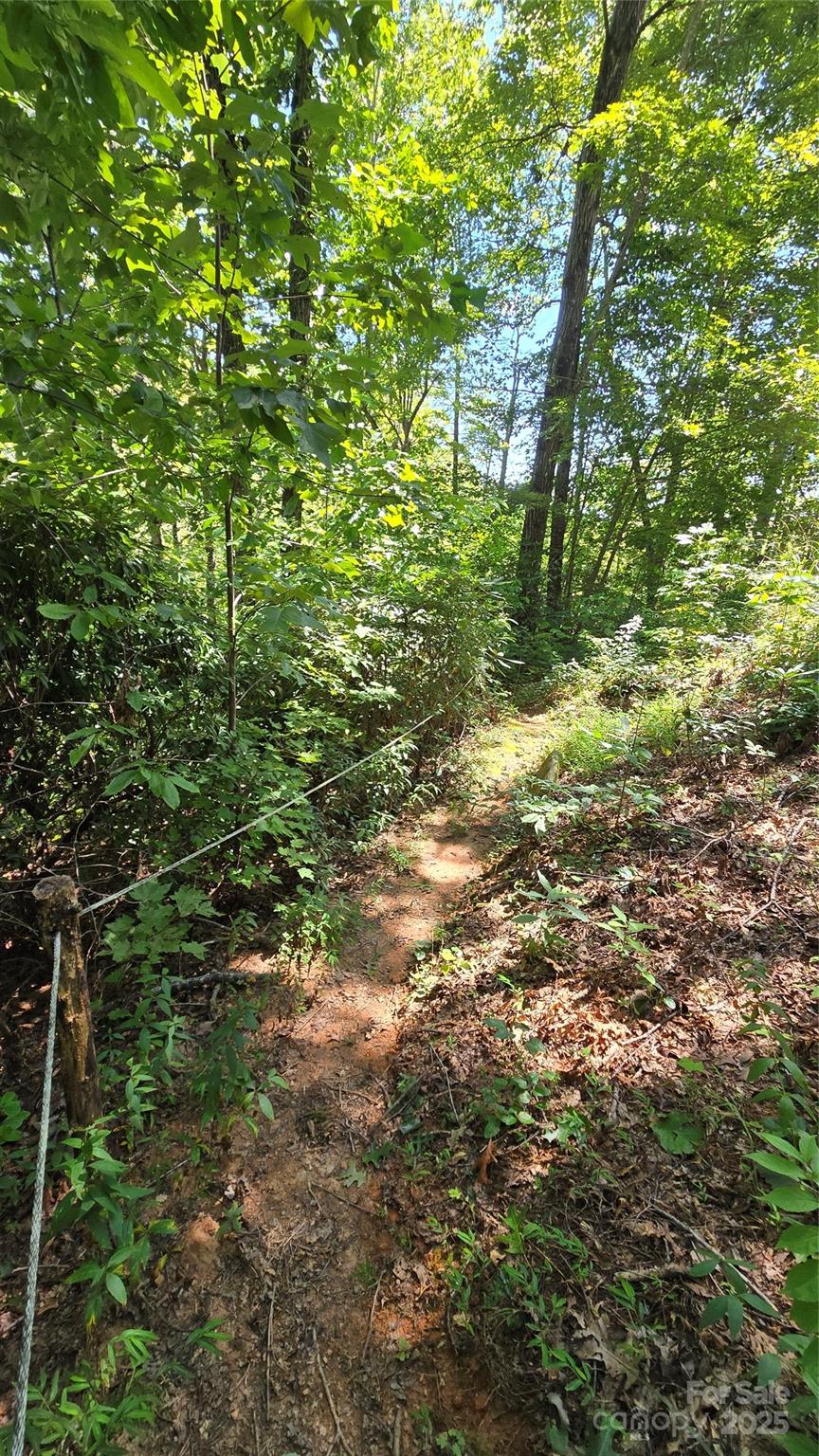 main property photo 41