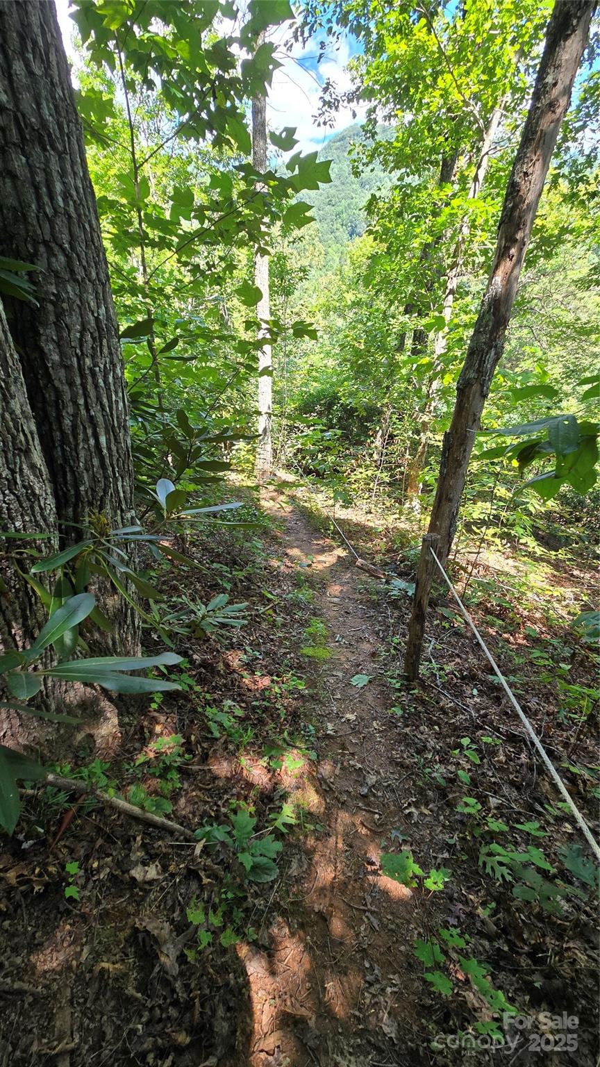 main property photo 42