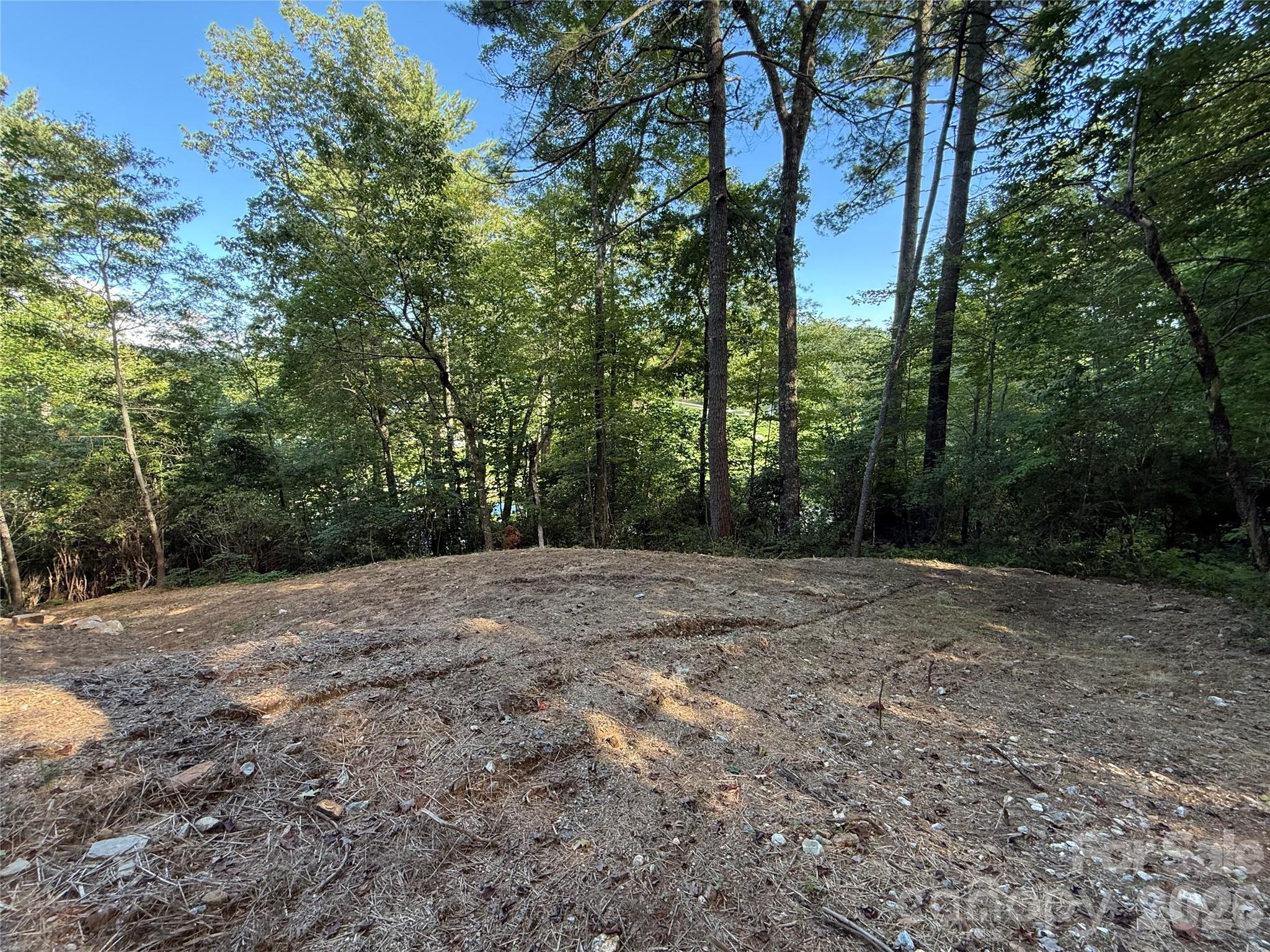 main property photo 11
