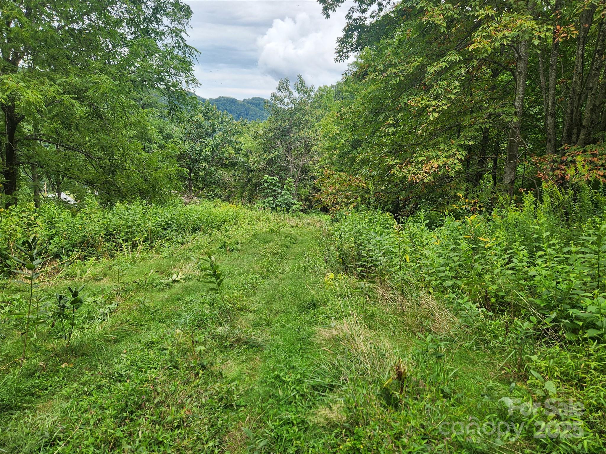 main property photo 9