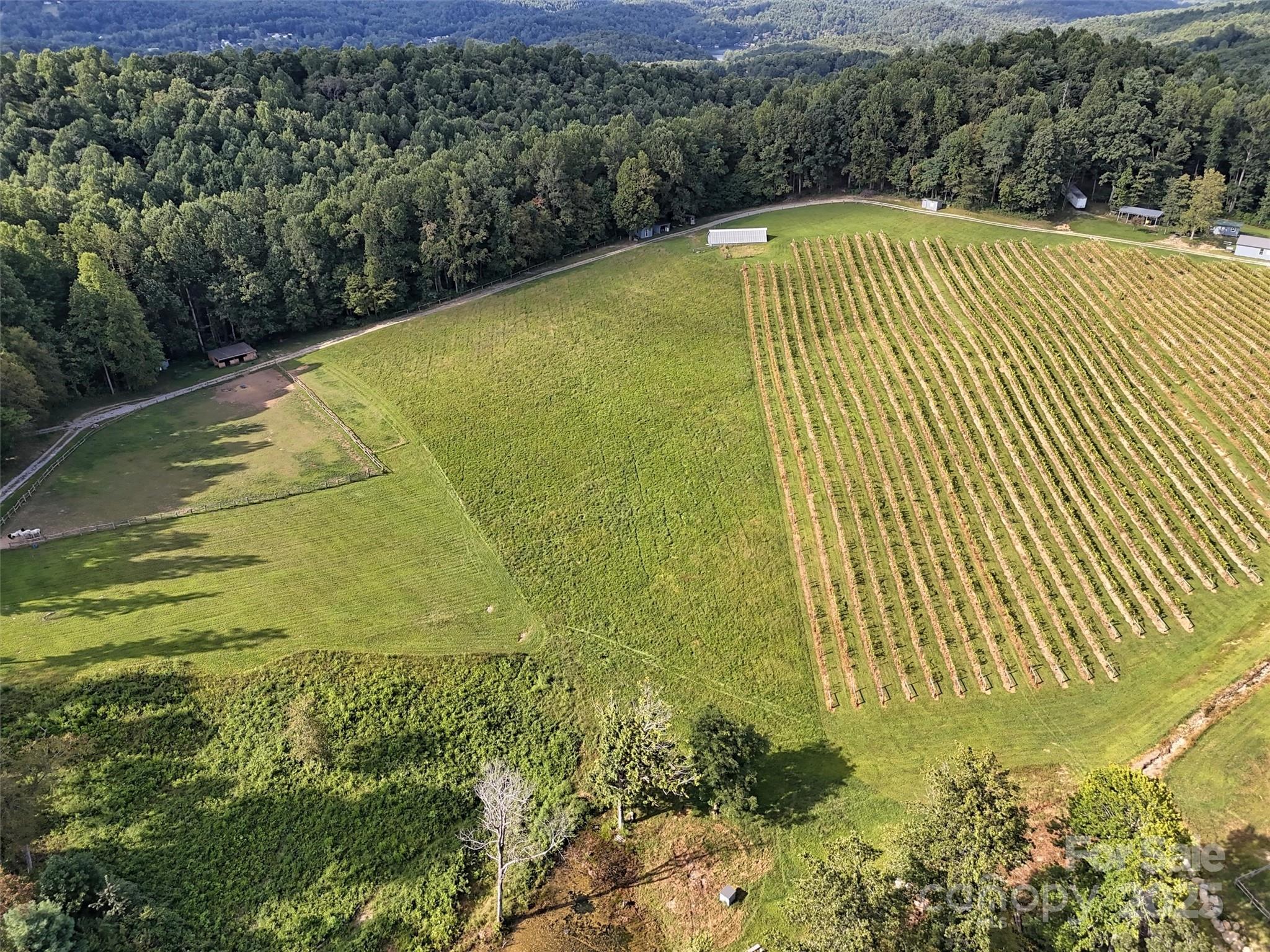 main property photo 26