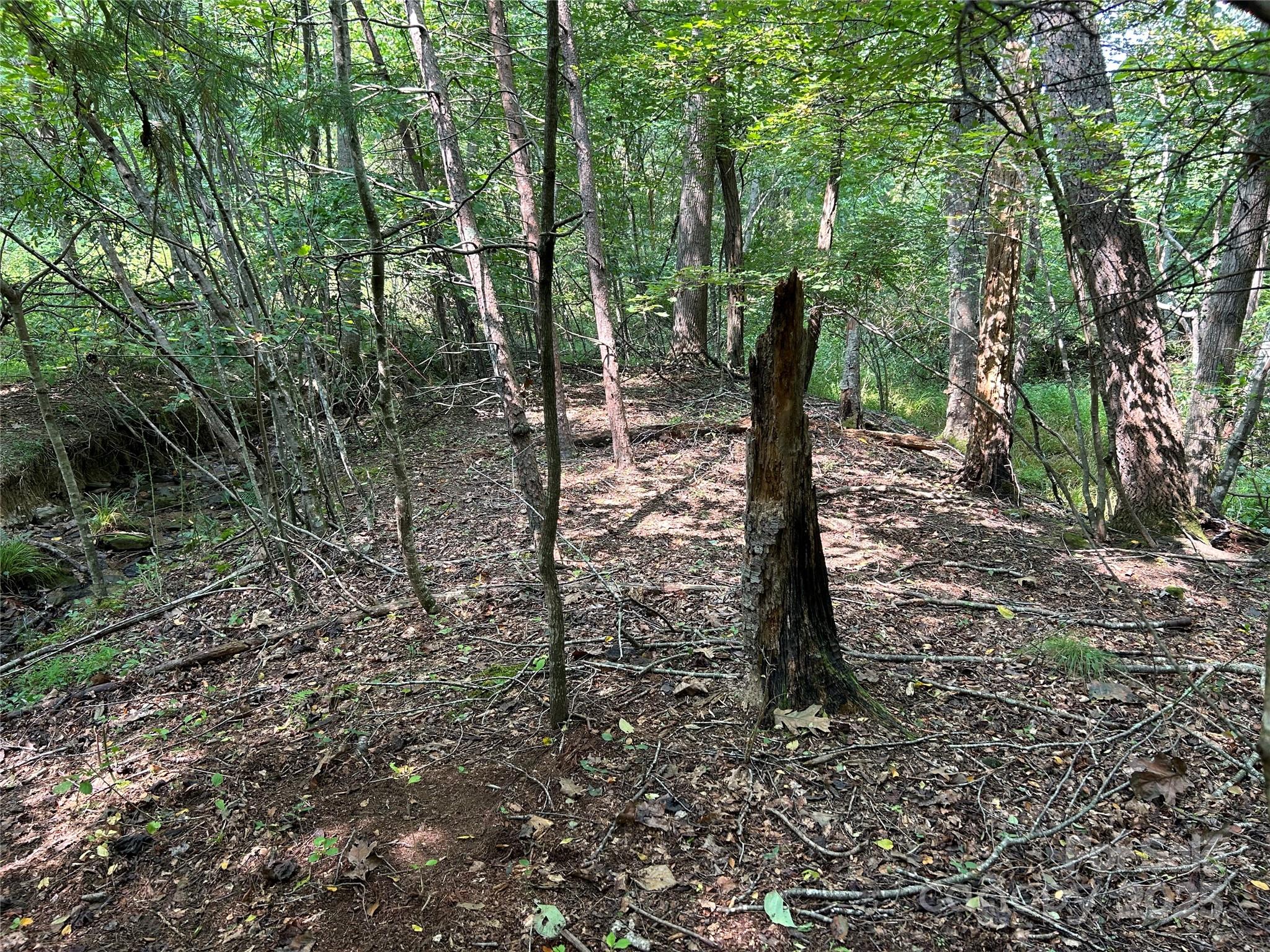 main property photo 7