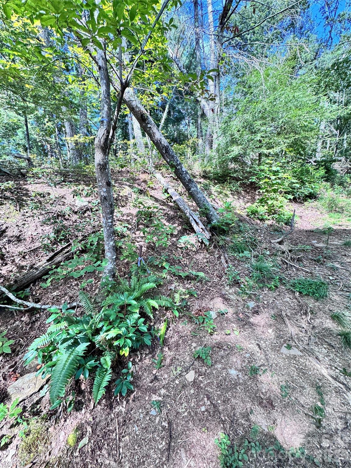 main property photo 11