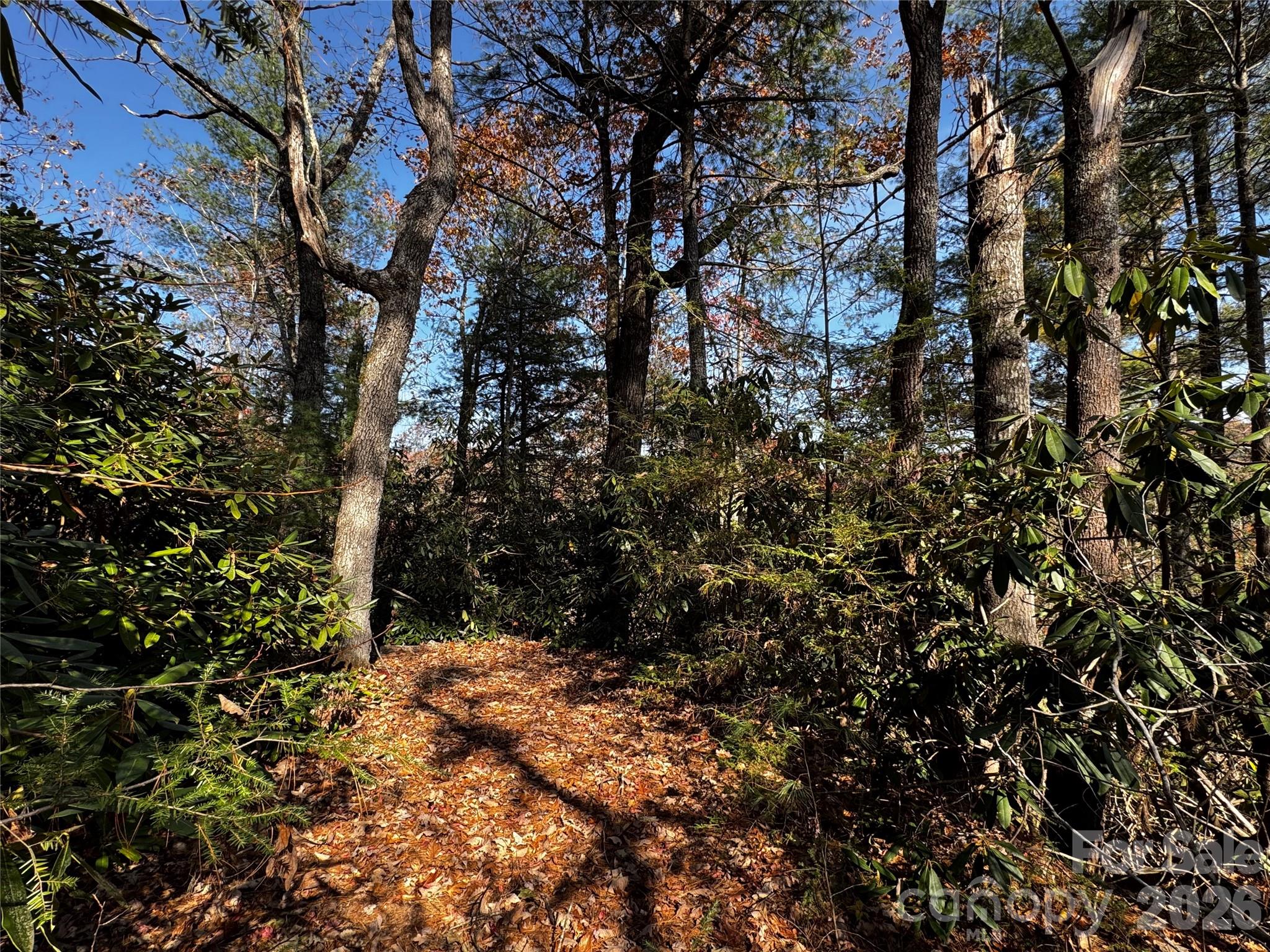 main property photo 25