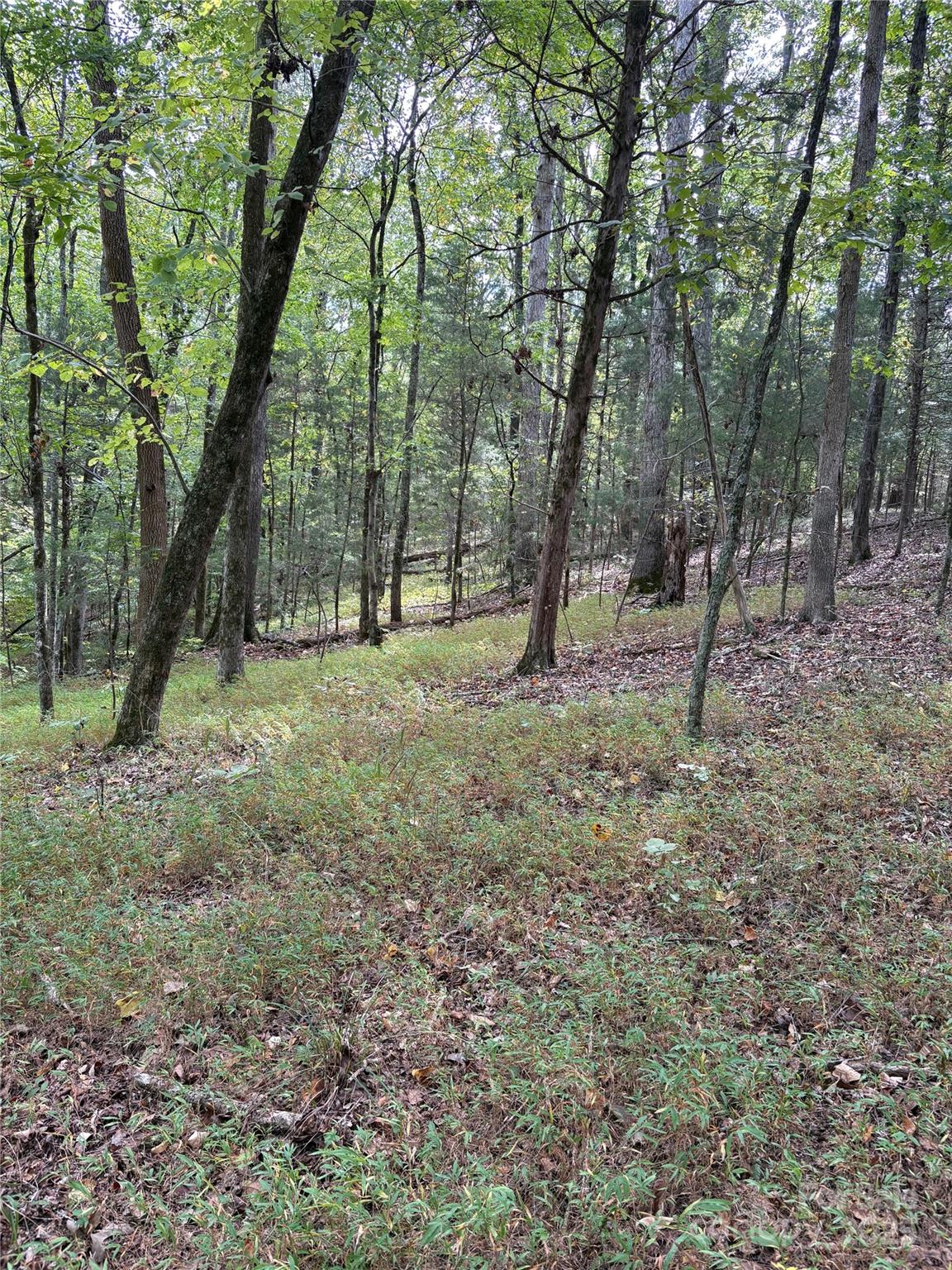 main property photo 30