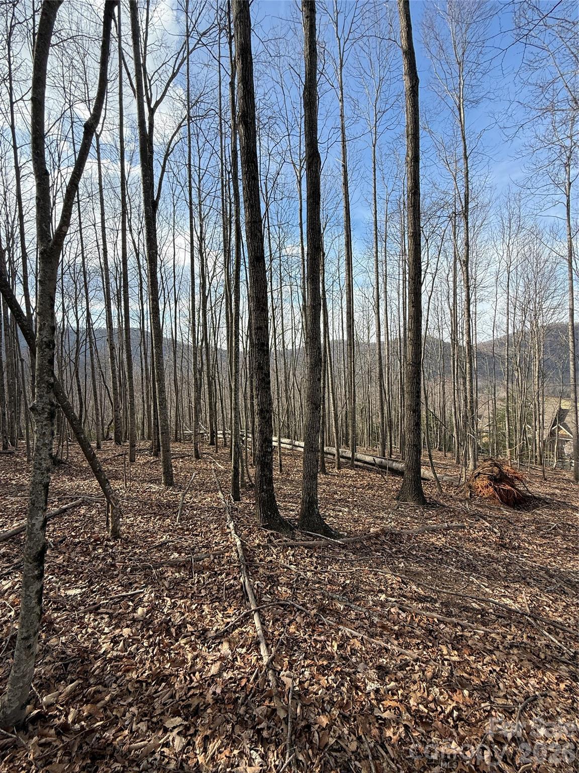 main property photo 14