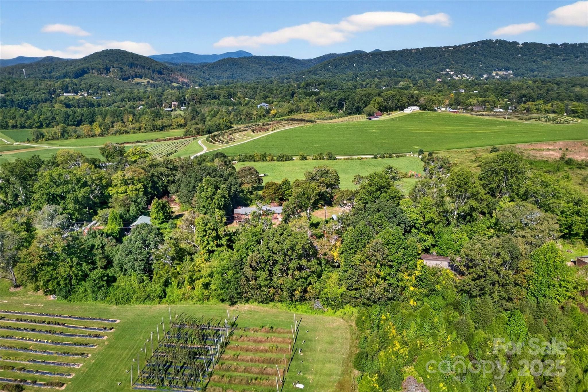 main property photo 6