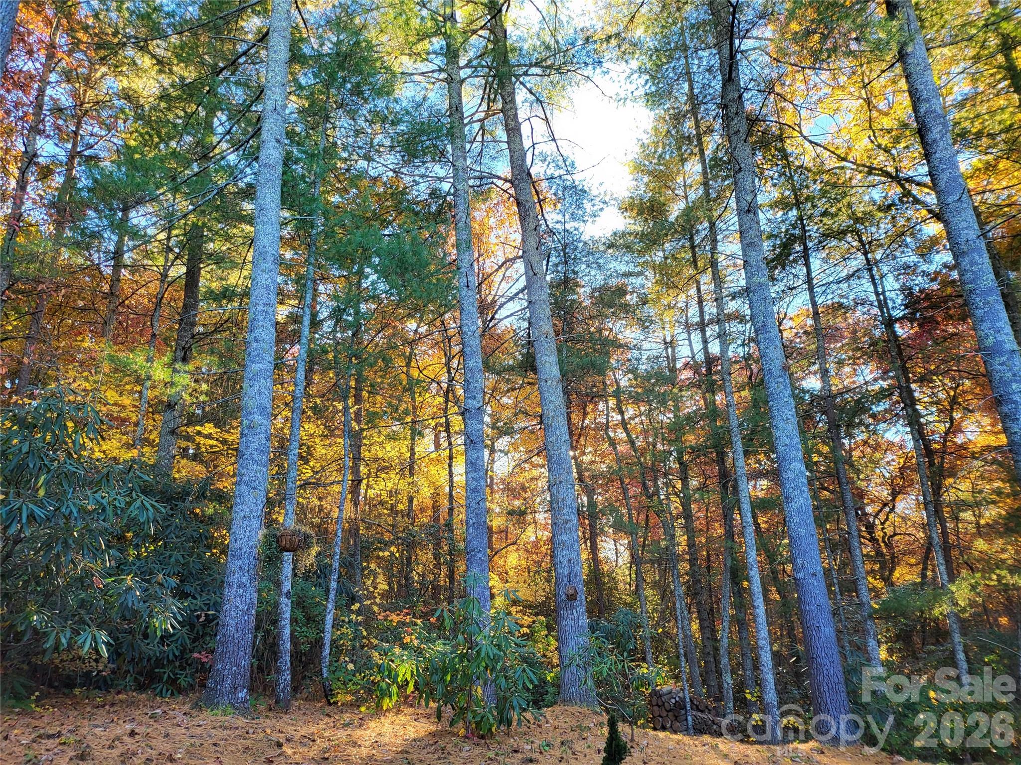 main property photo 47