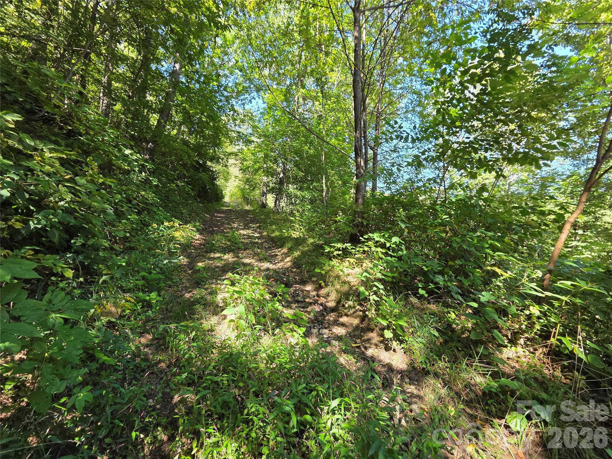 main property photo 24