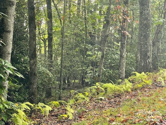 property viewer photo 1