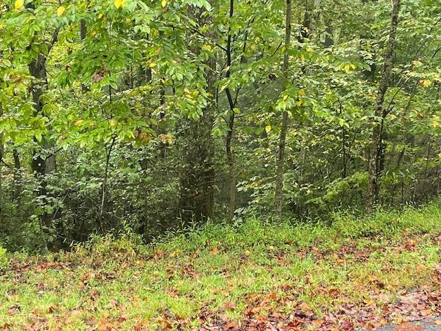 property viewer photo 3
