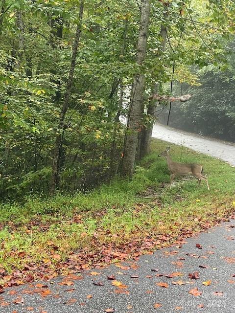 property viewer photo 4