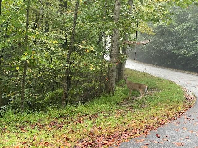 property viewer photo 5