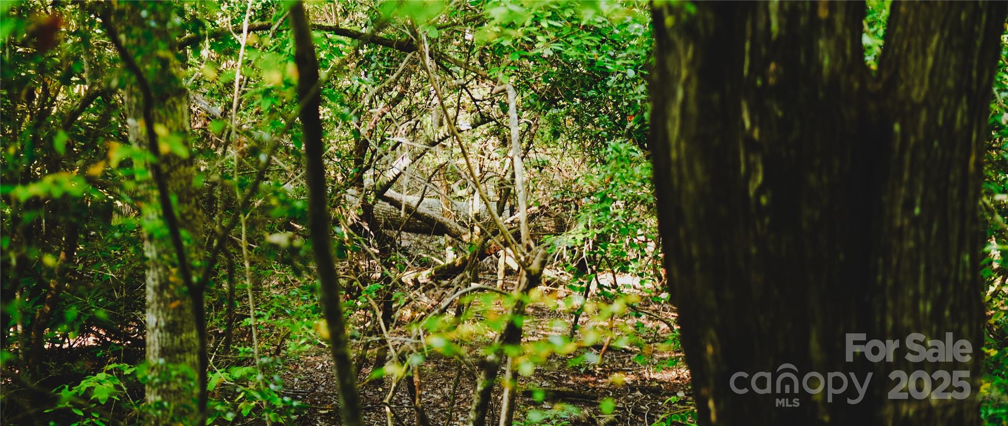property viewer photo 6