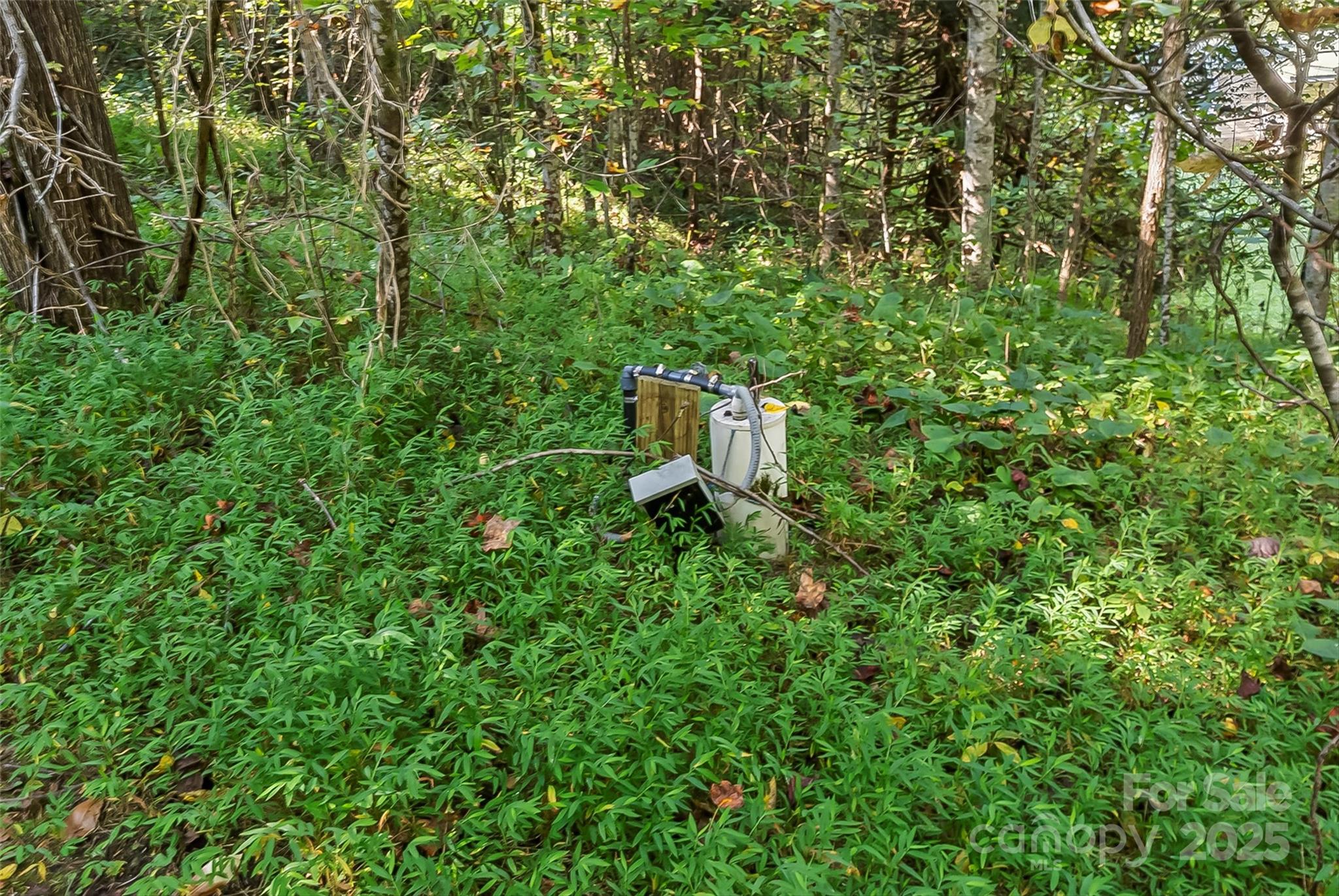 main property photo 13
