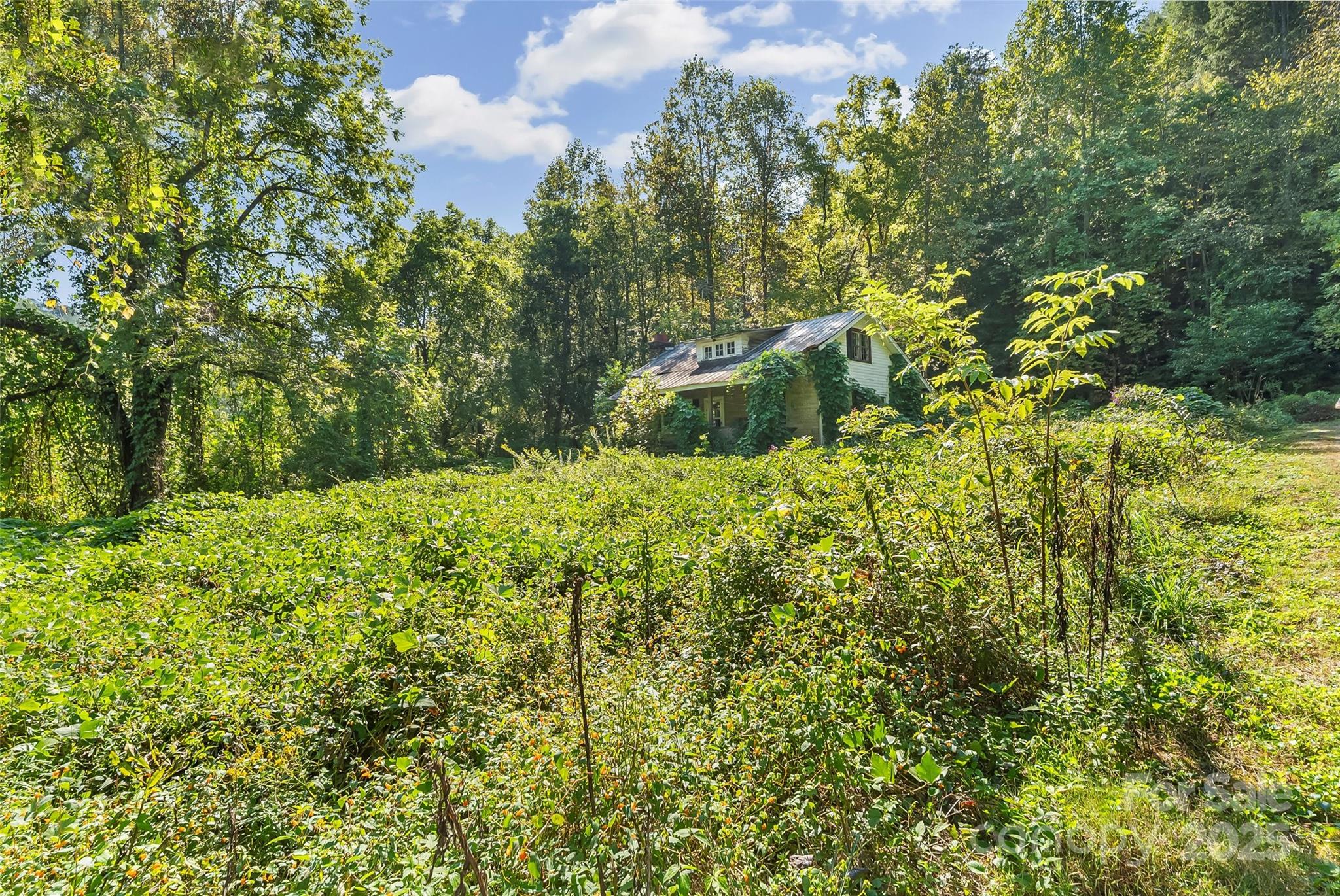 main property photo 19