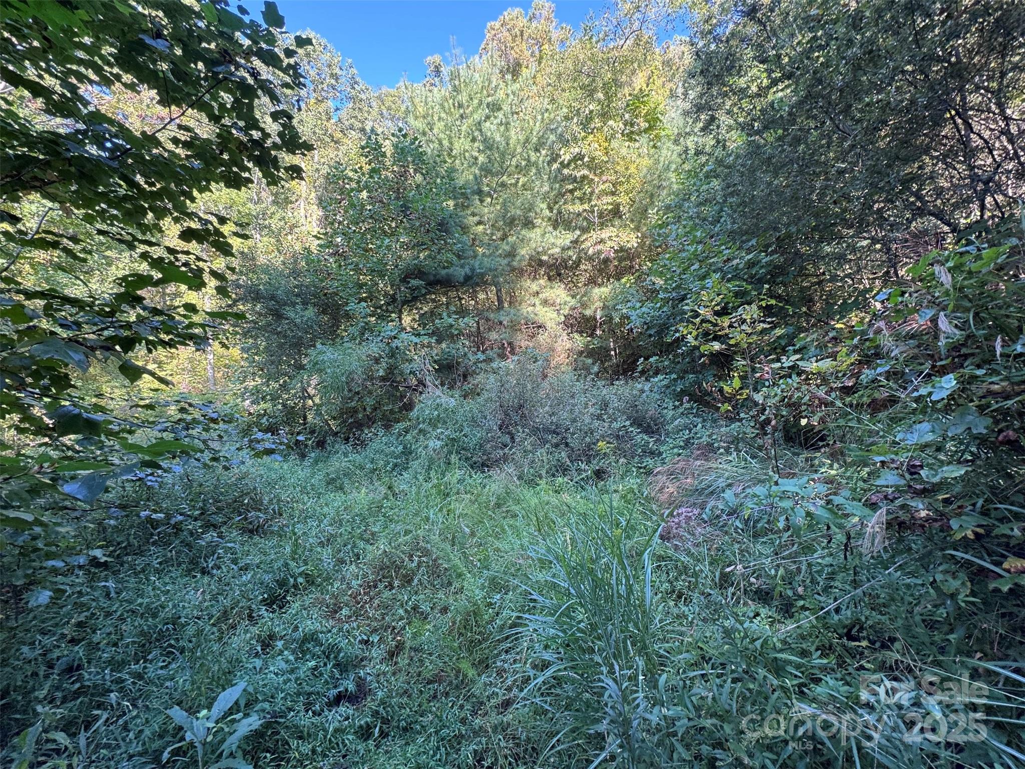 main property photo 24