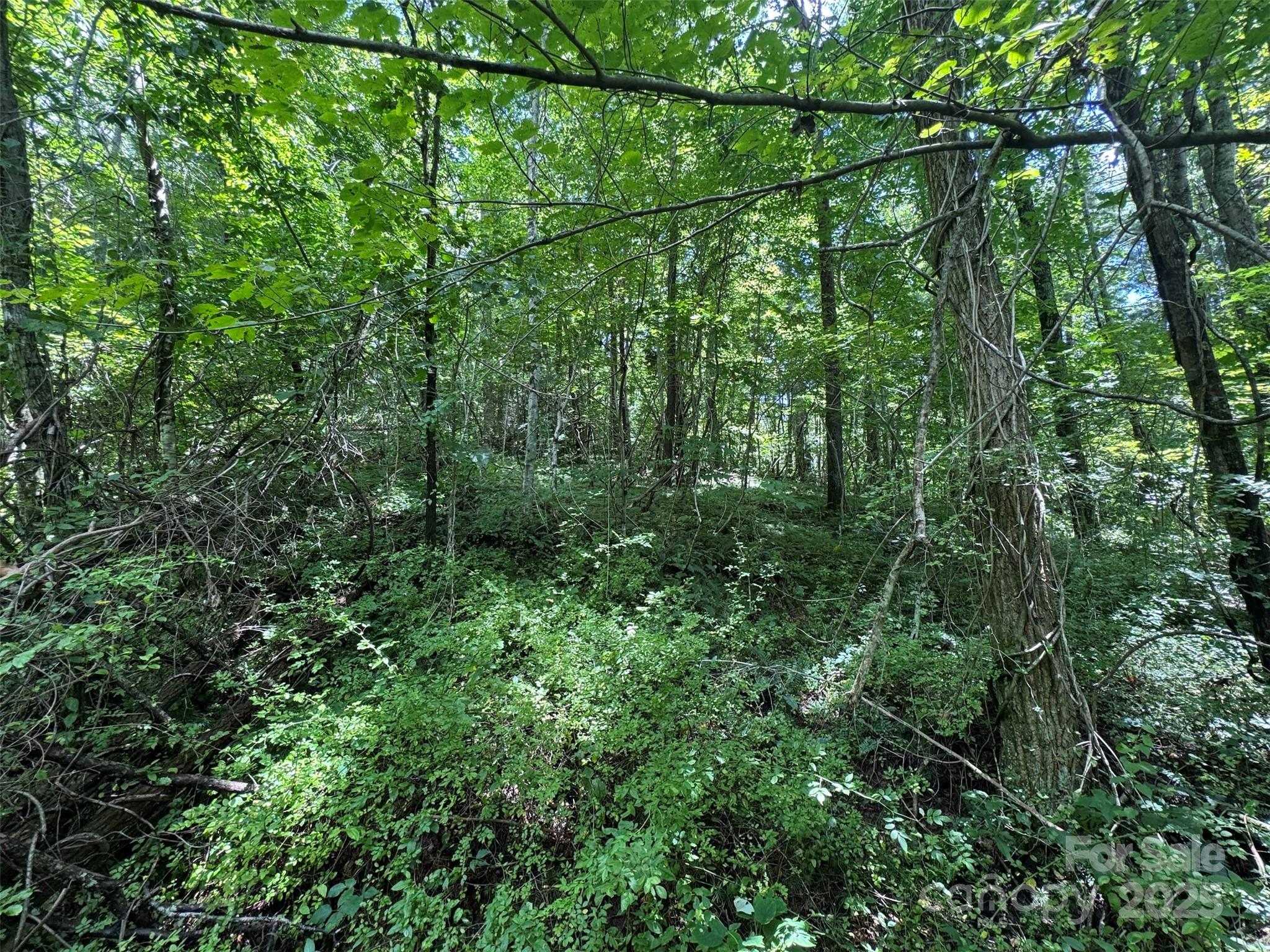 main property photo 26