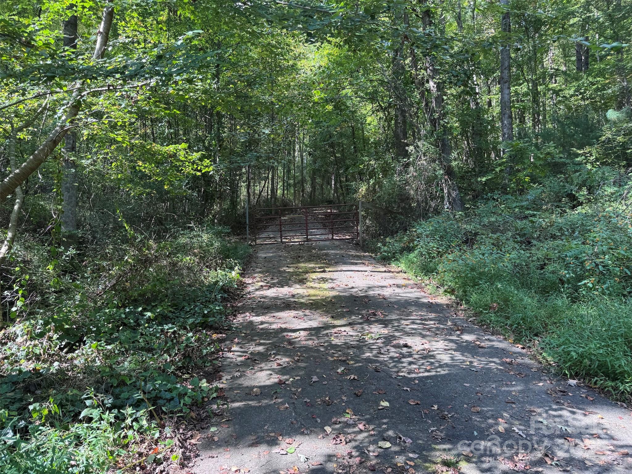 main property photo 29