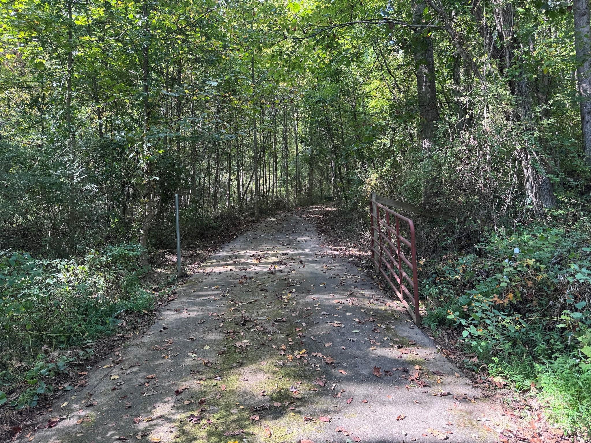 main property photo 4