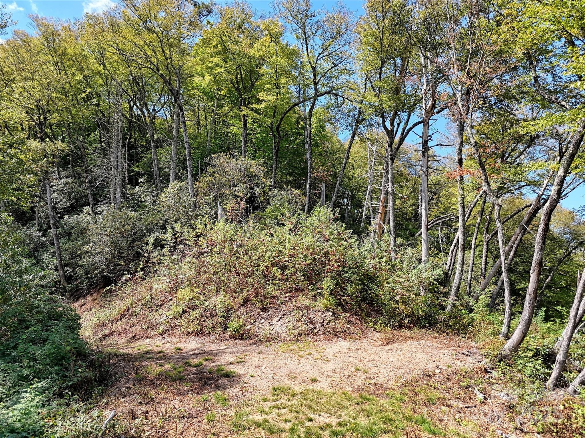 main property photo 13