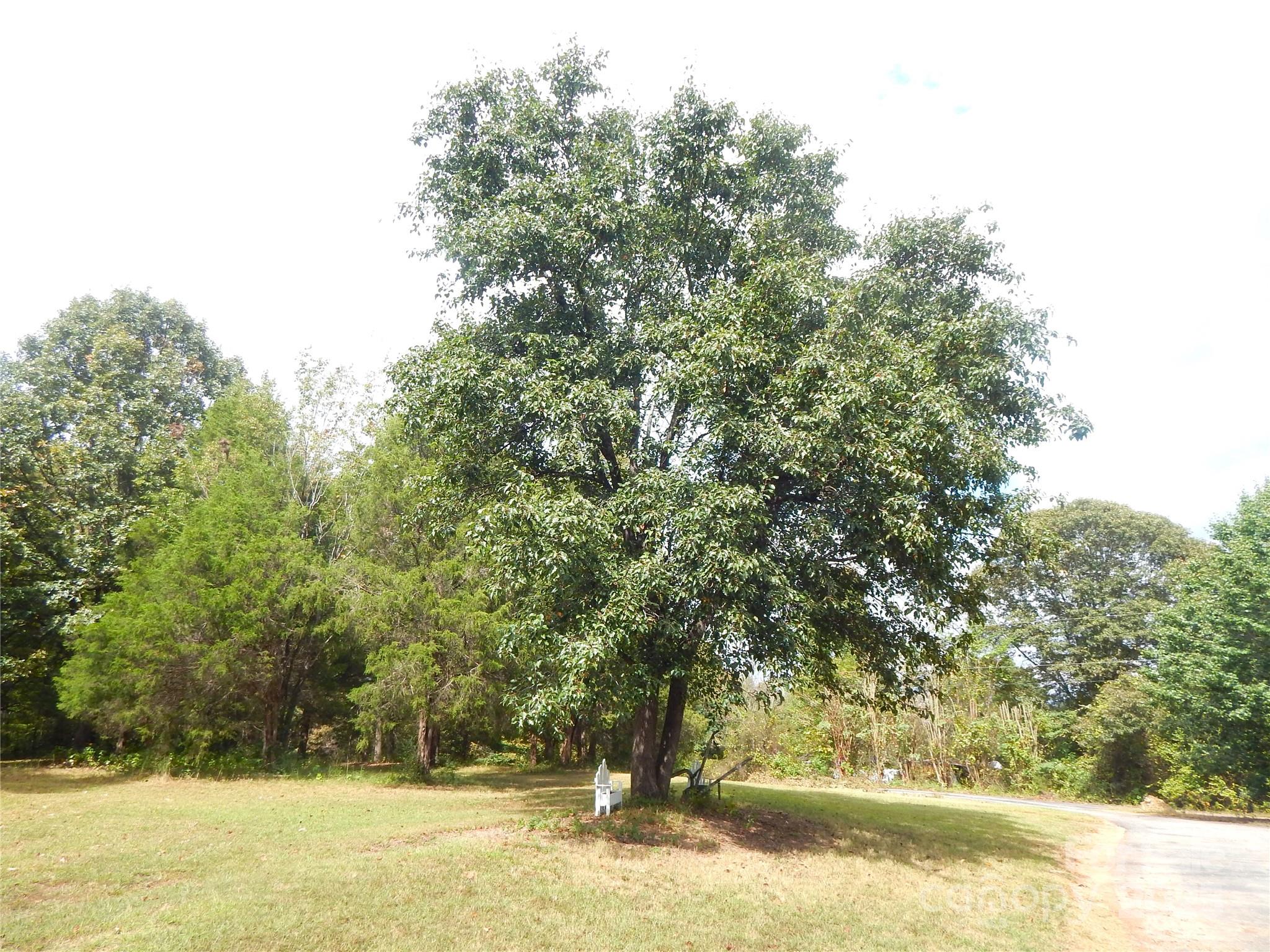 main property photo 22