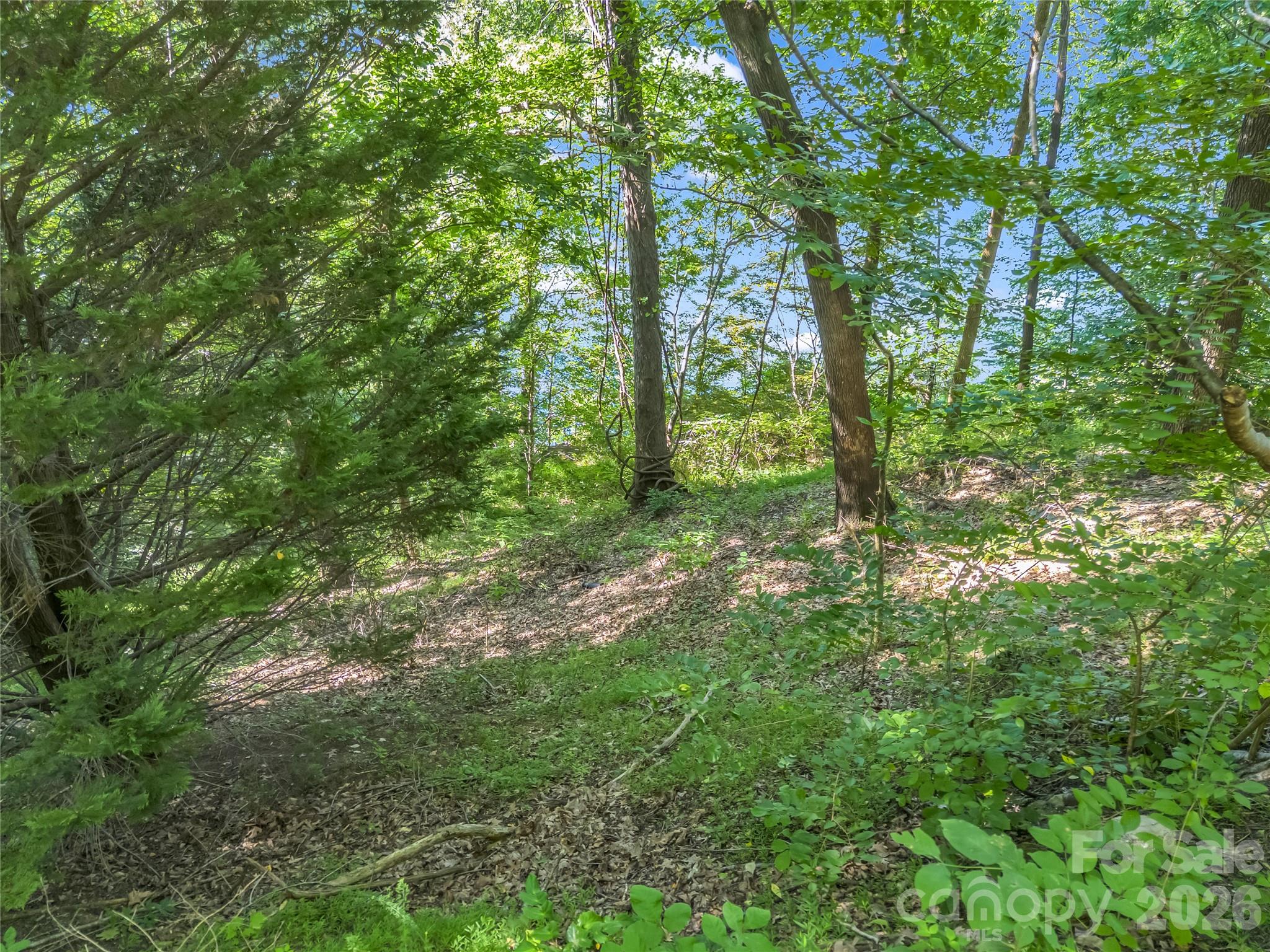 main property photo 24