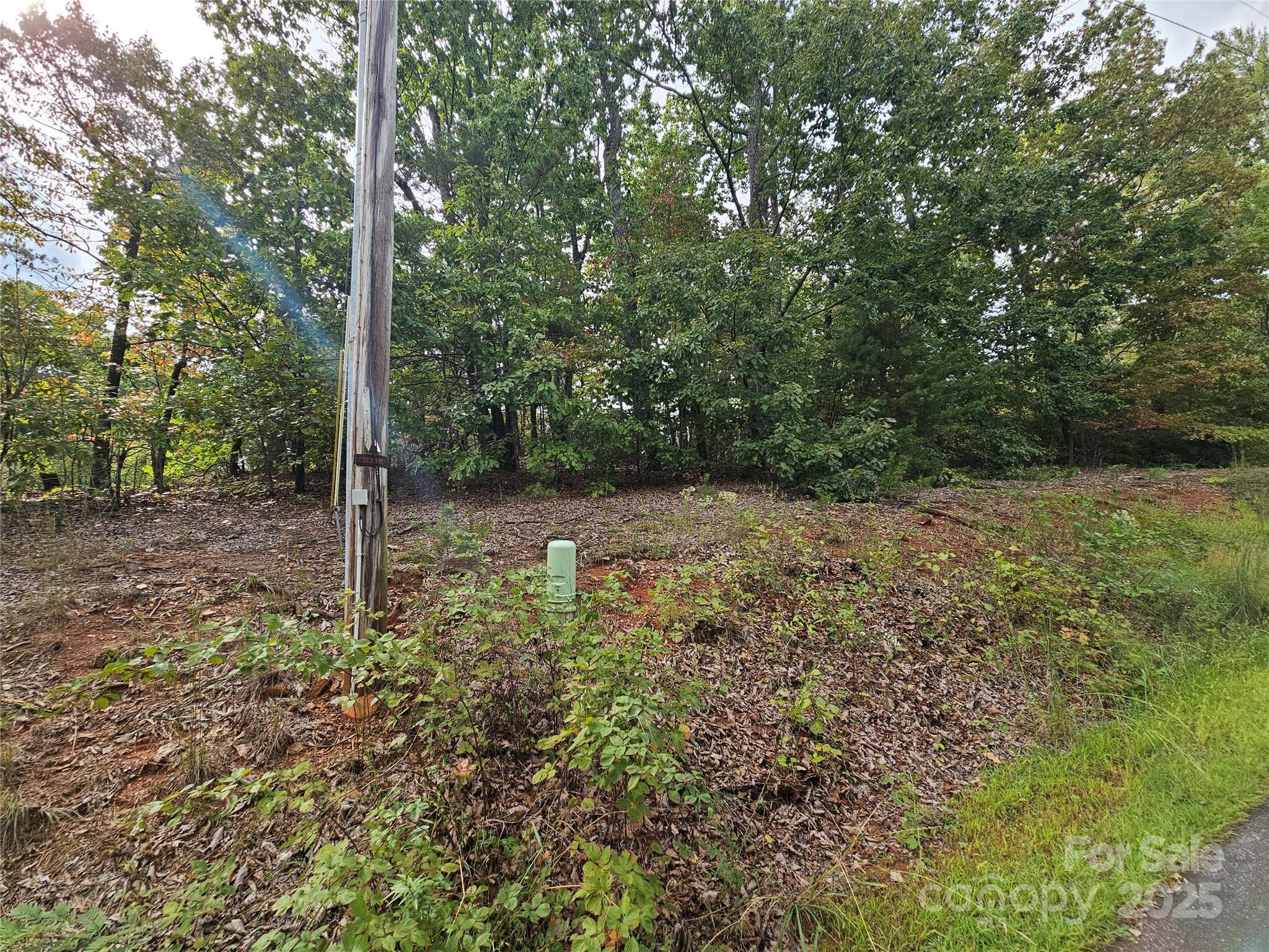 main property photo 8