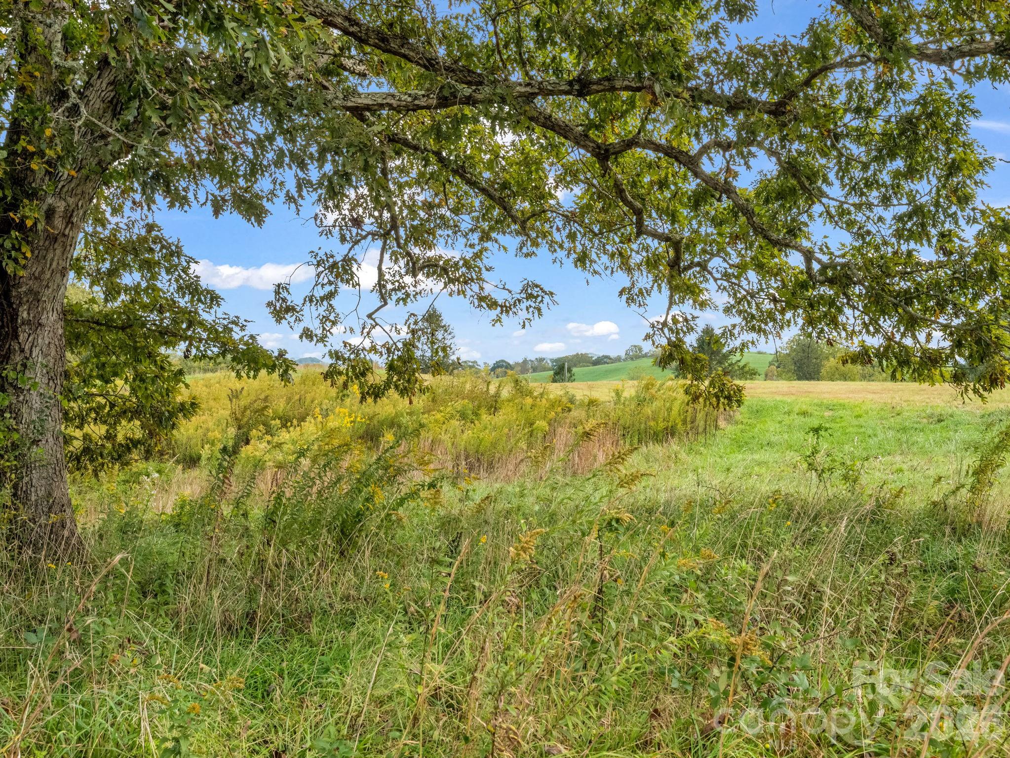 main property photo 45