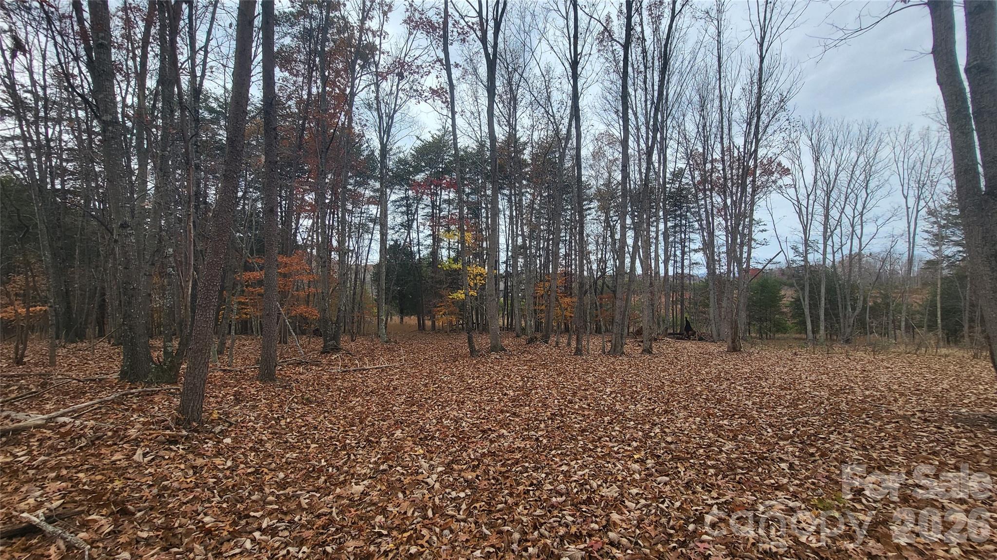 main property photo 10