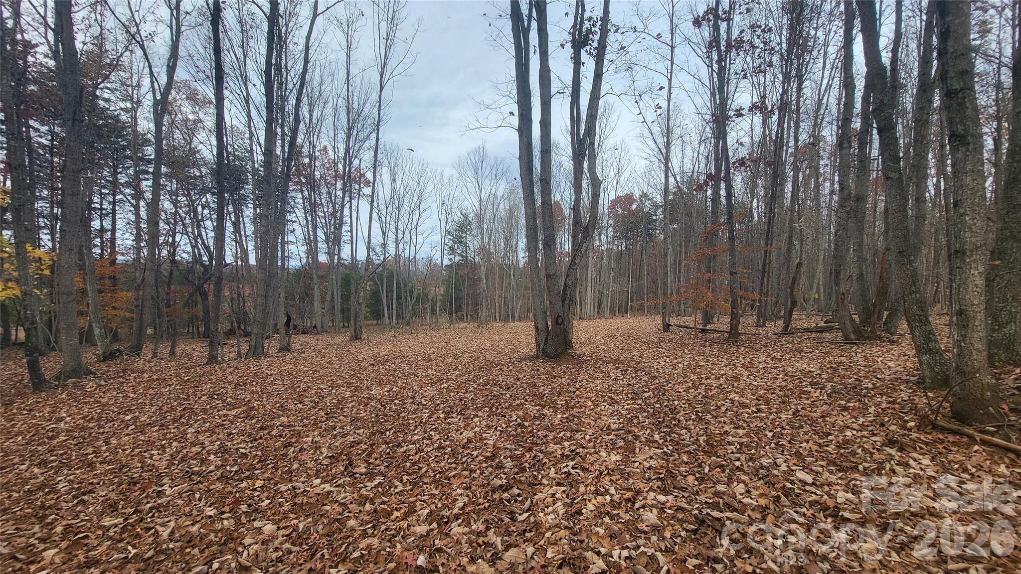 main property photo 11