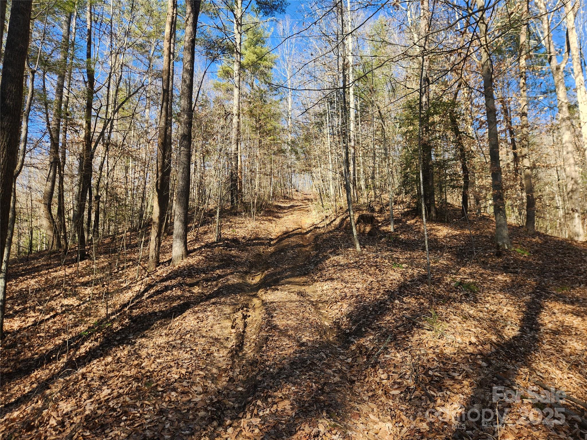 main property photo 21