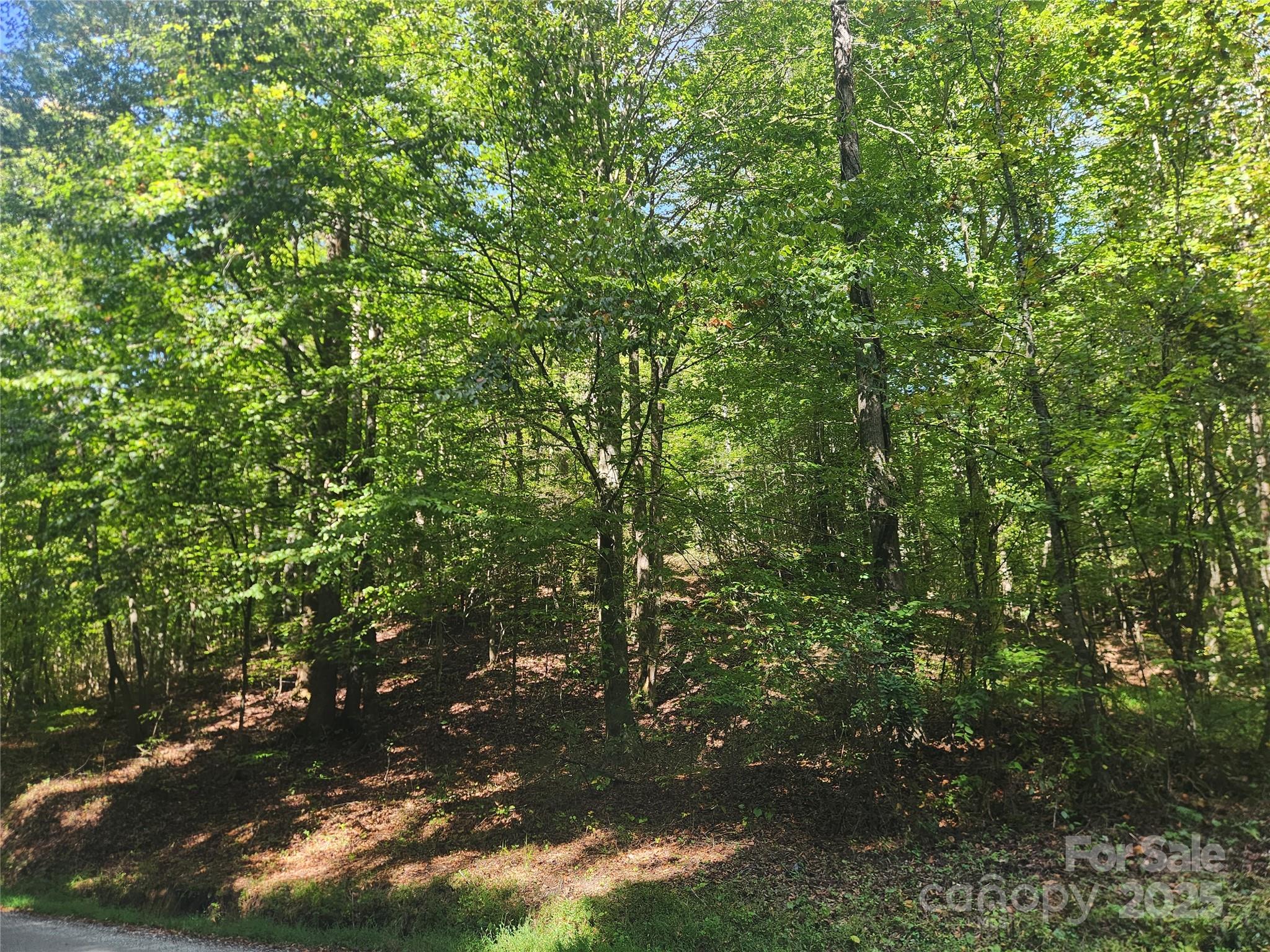 main property photo 35