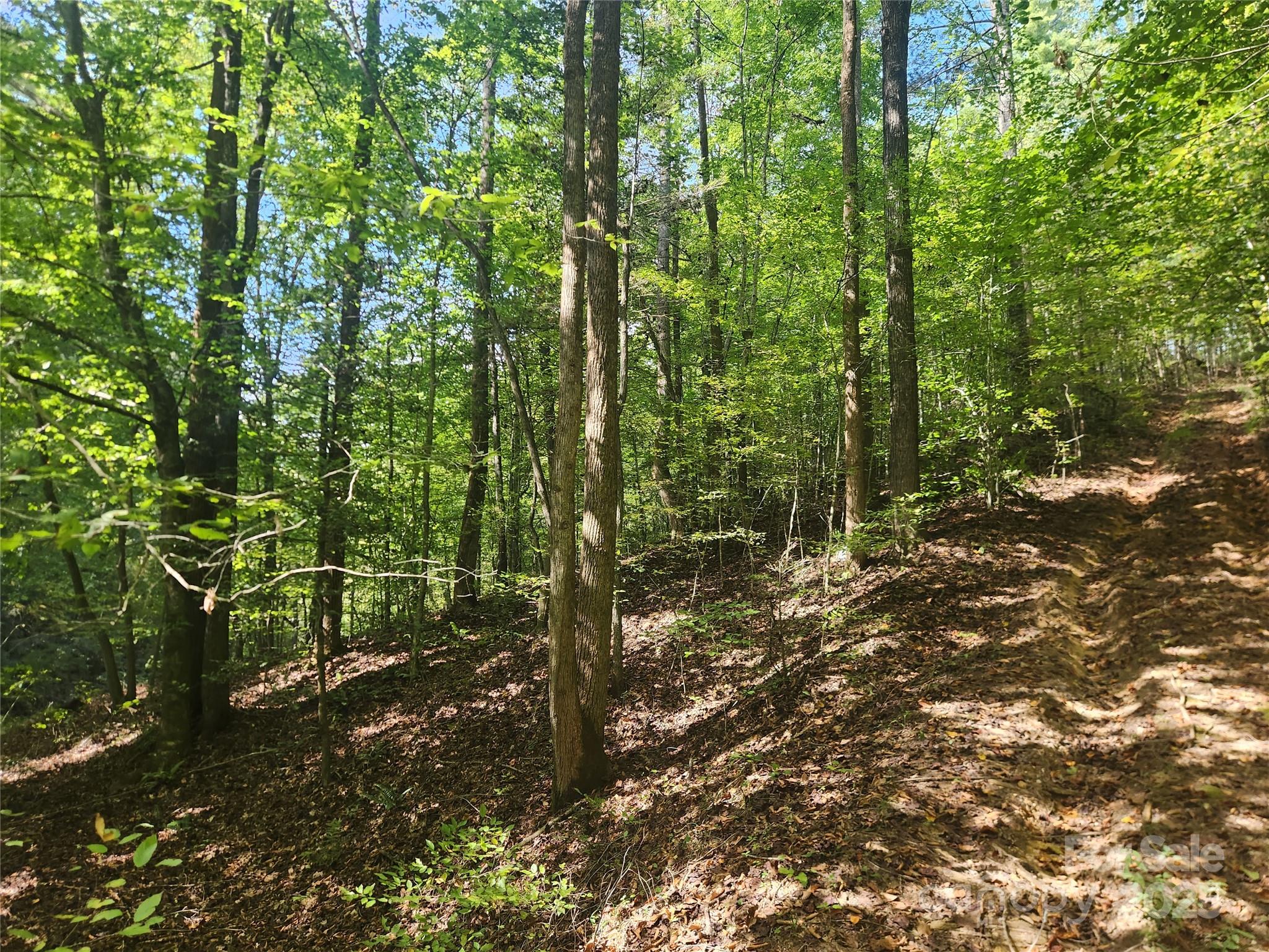 main property photo 37