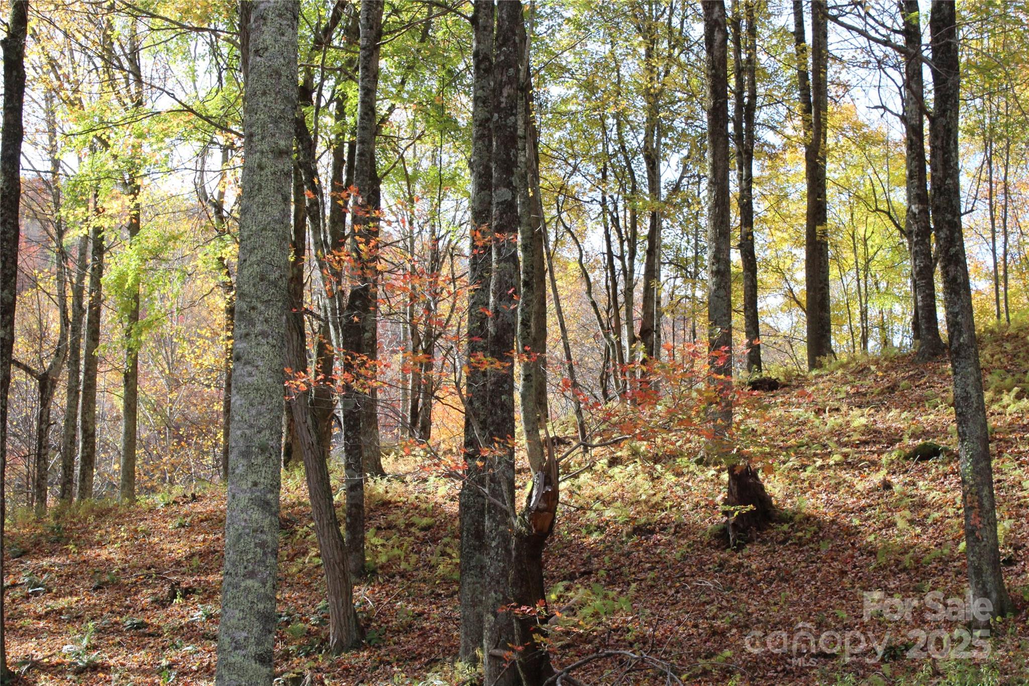 main property photo 12