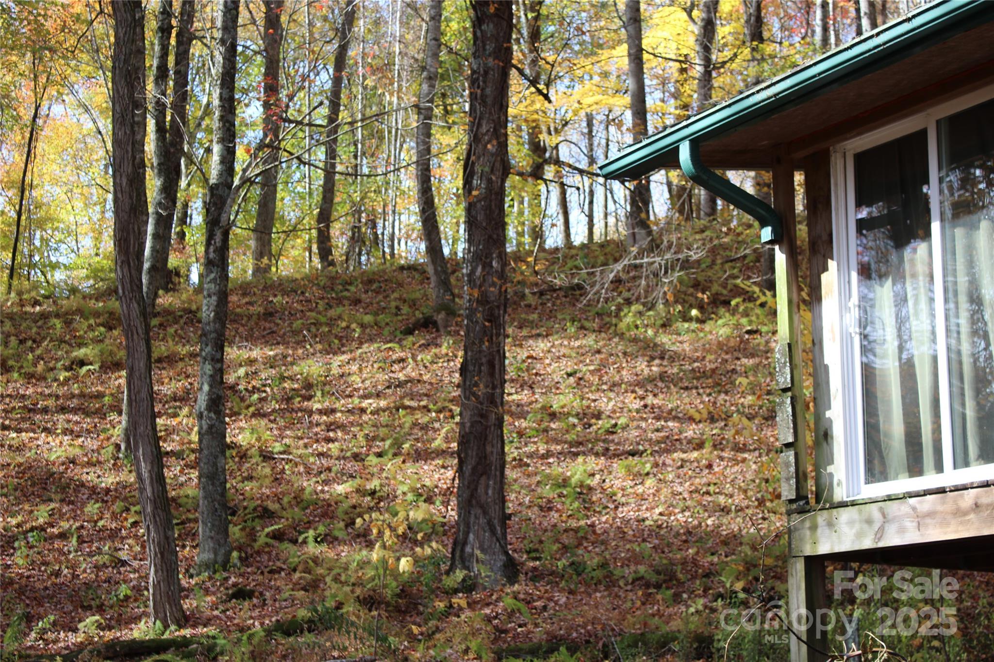 main property photo 31
