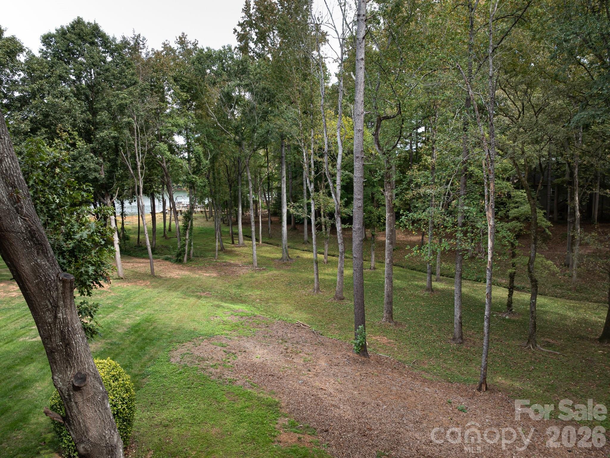 main property photo 41