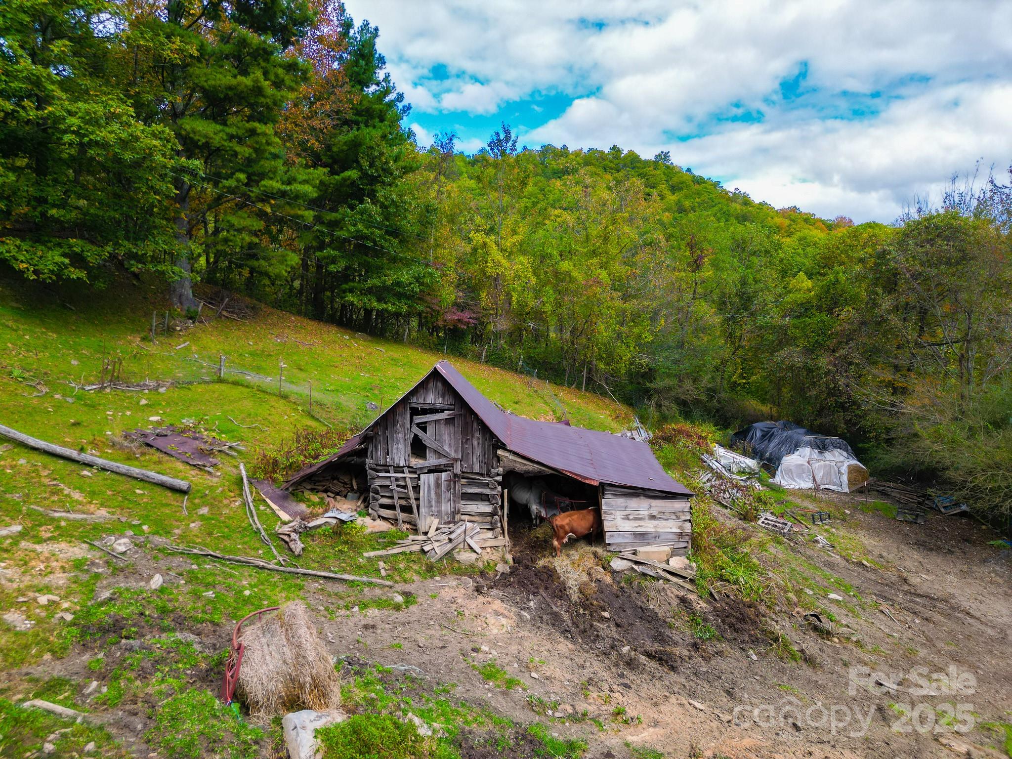 main property photo 13
