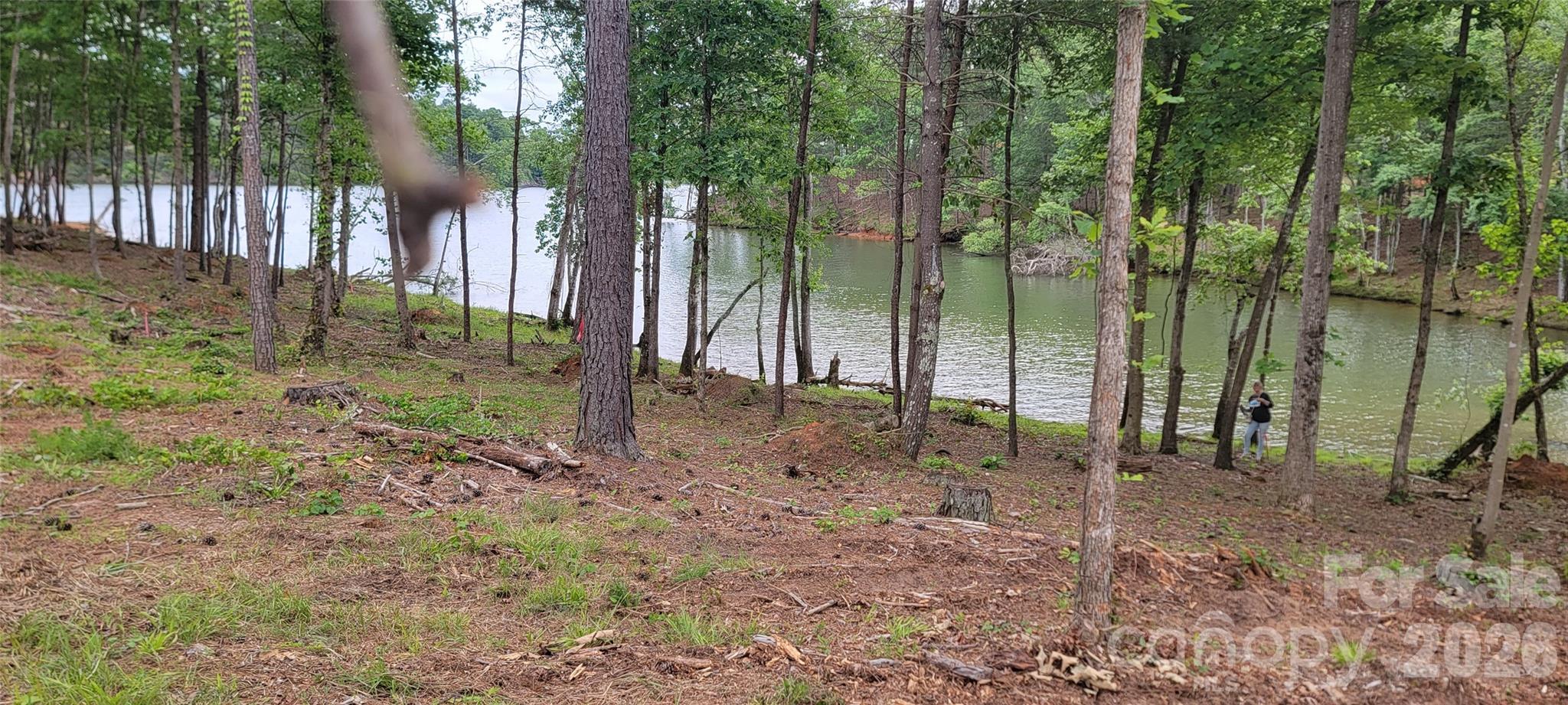 main property photo 11