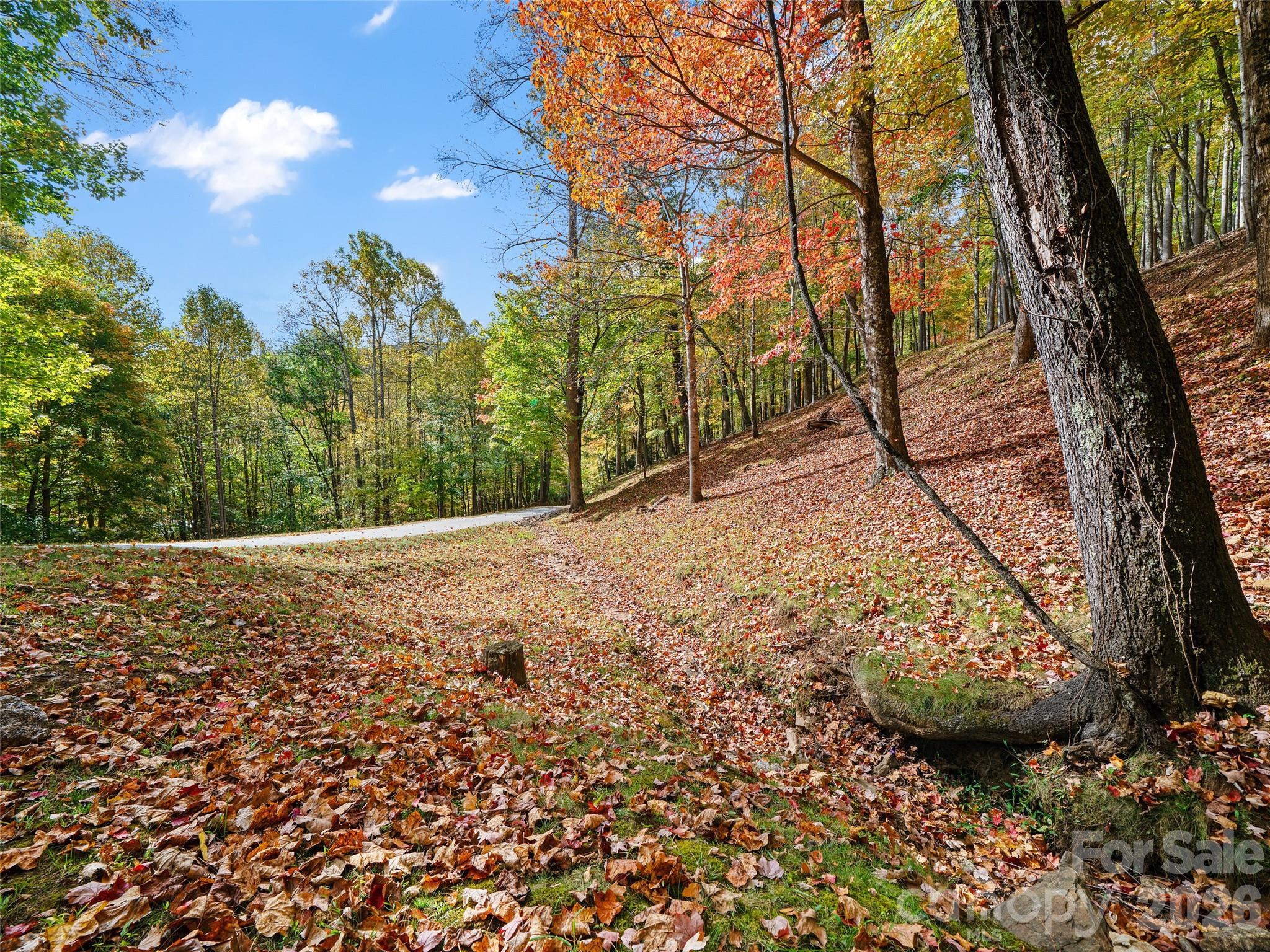 main property photo 19