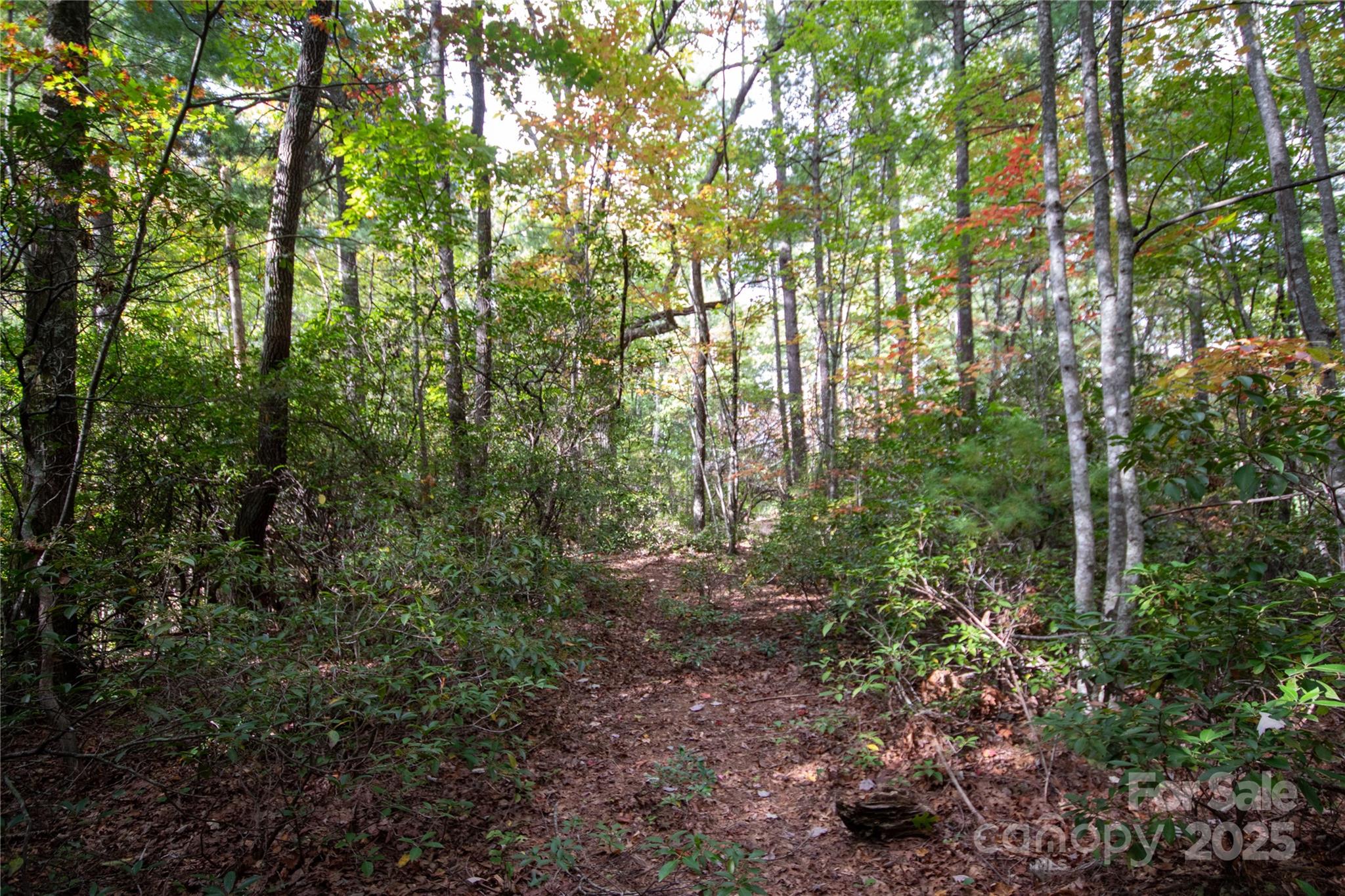 main property photo 18