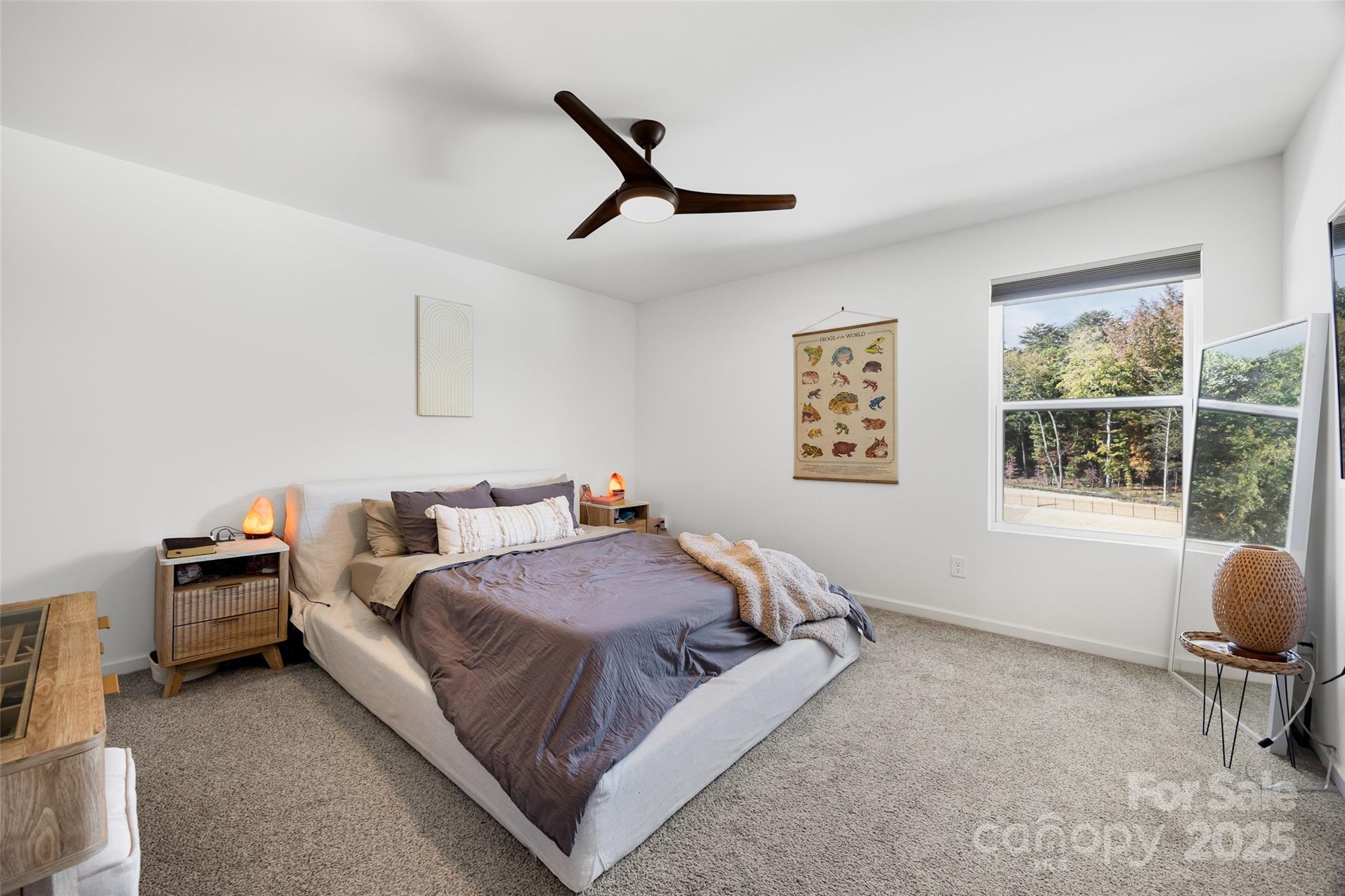property viewer photo 23