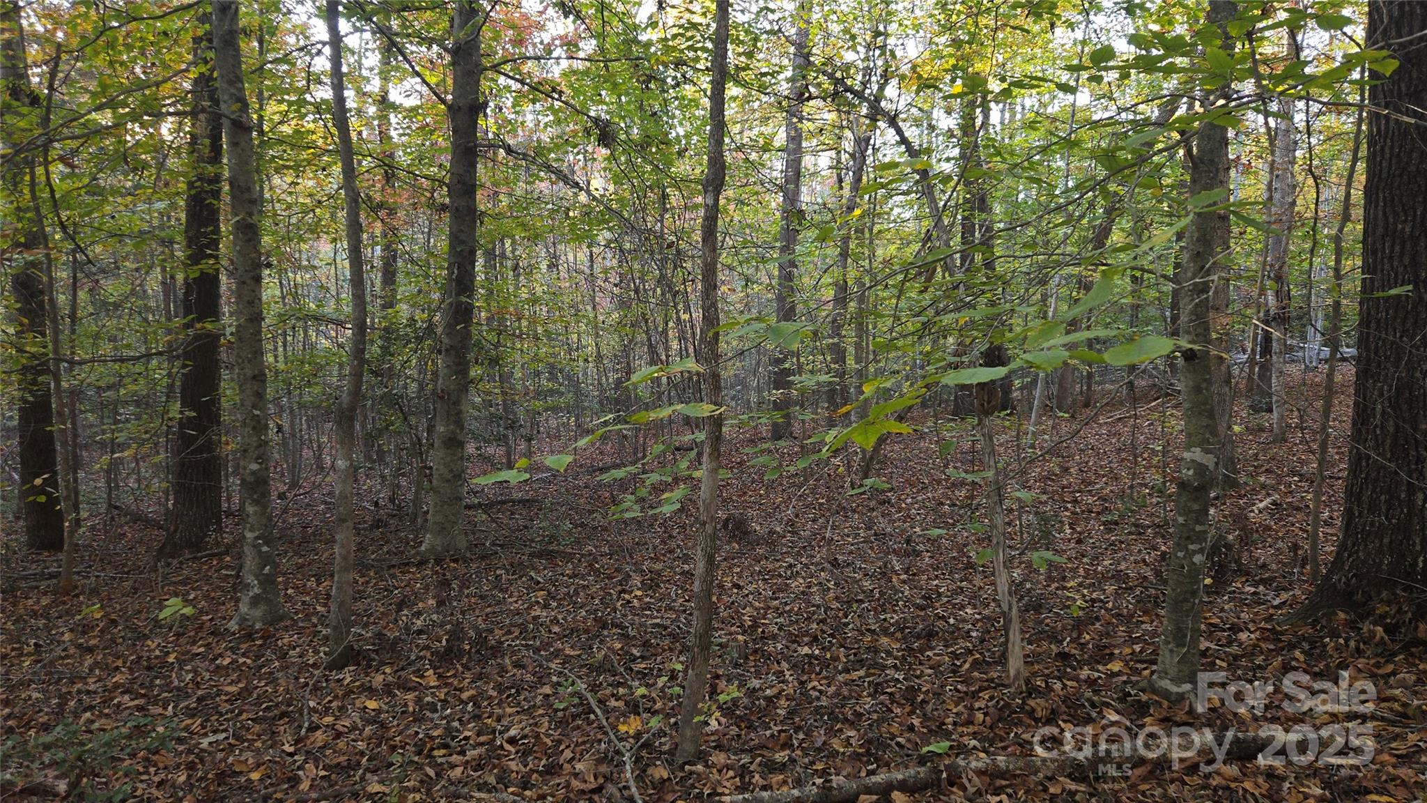 main property photo 39