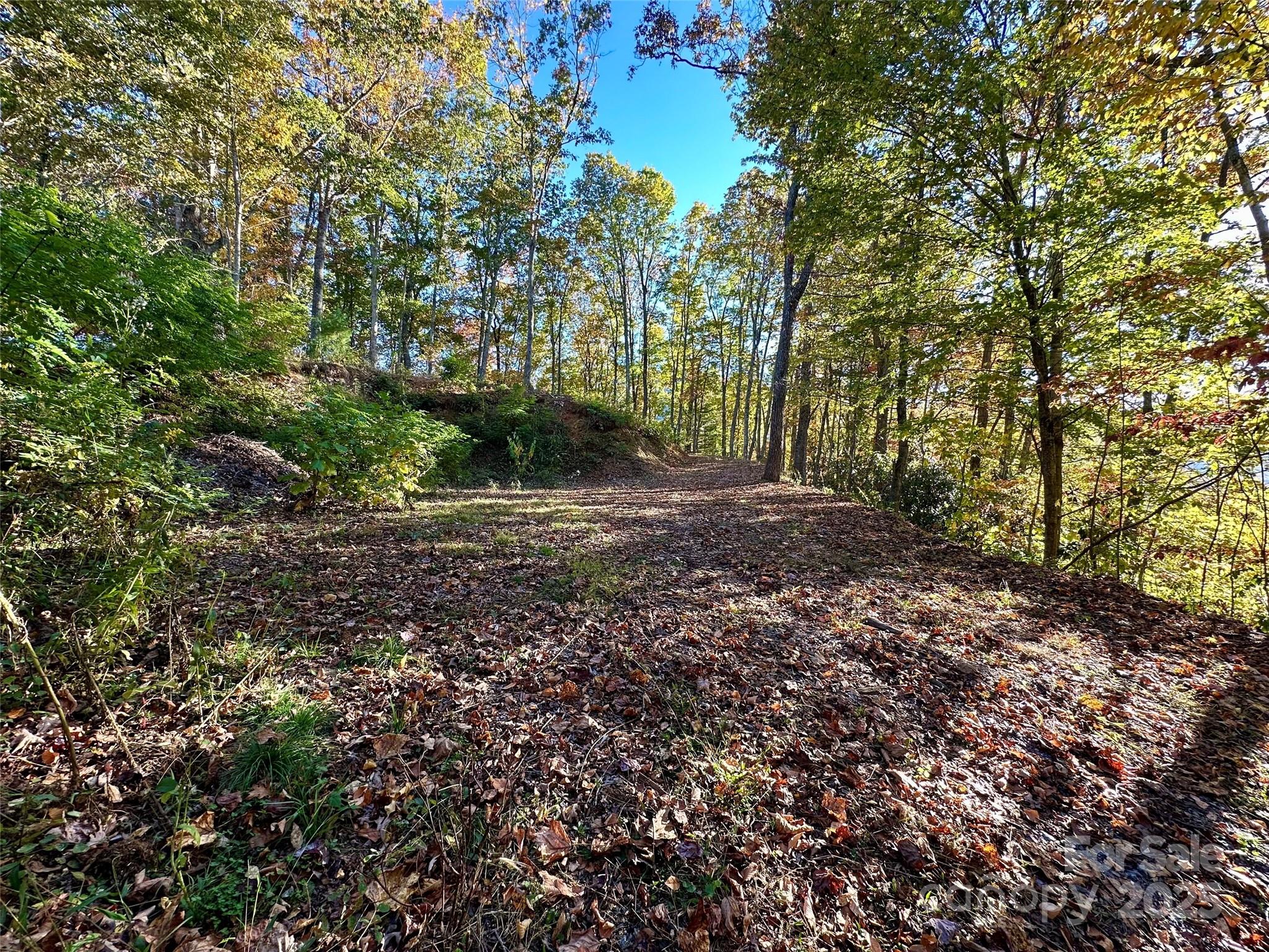 main property photo 11