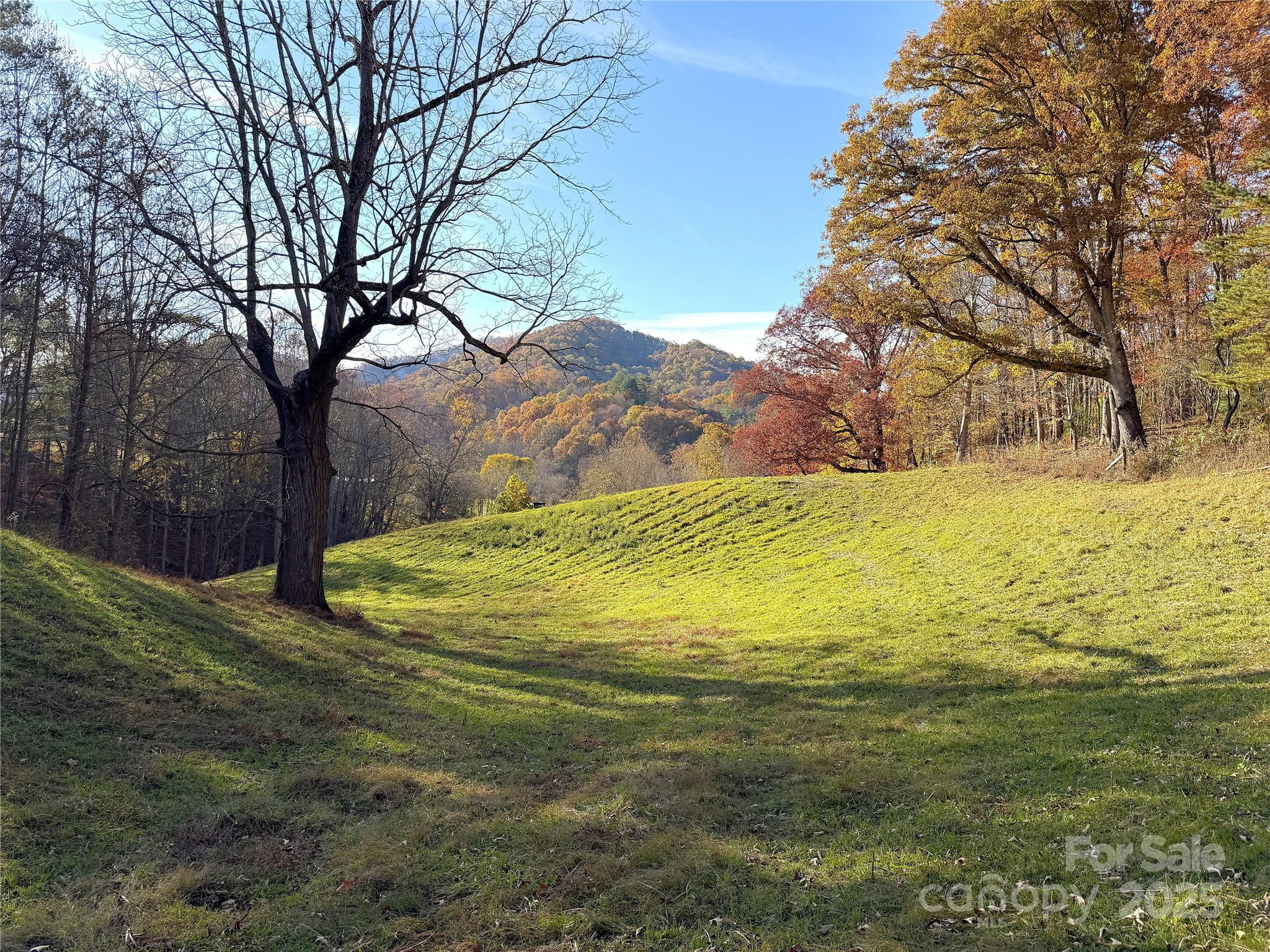 main property photo 45