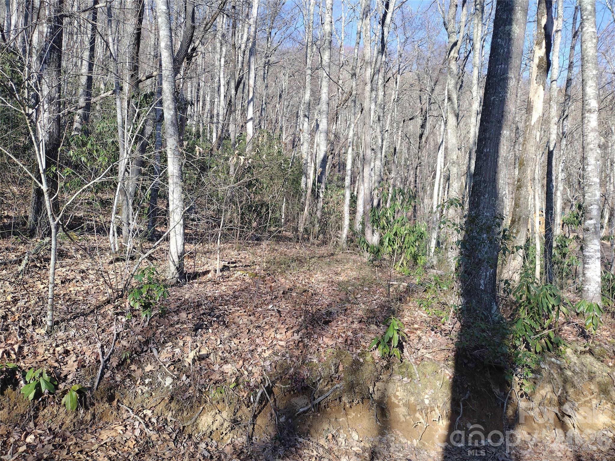 main property photo 11
