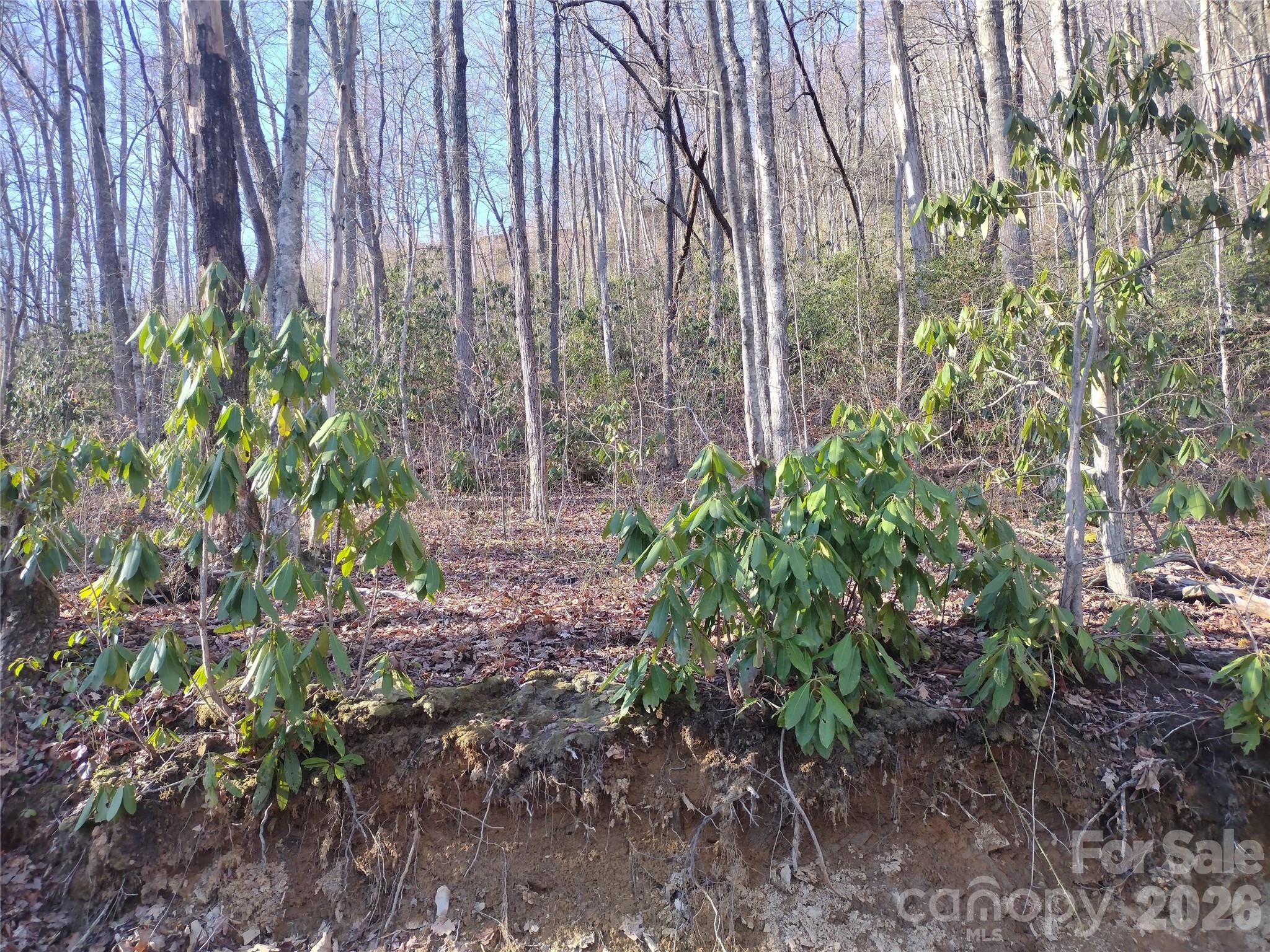 main property photo 12