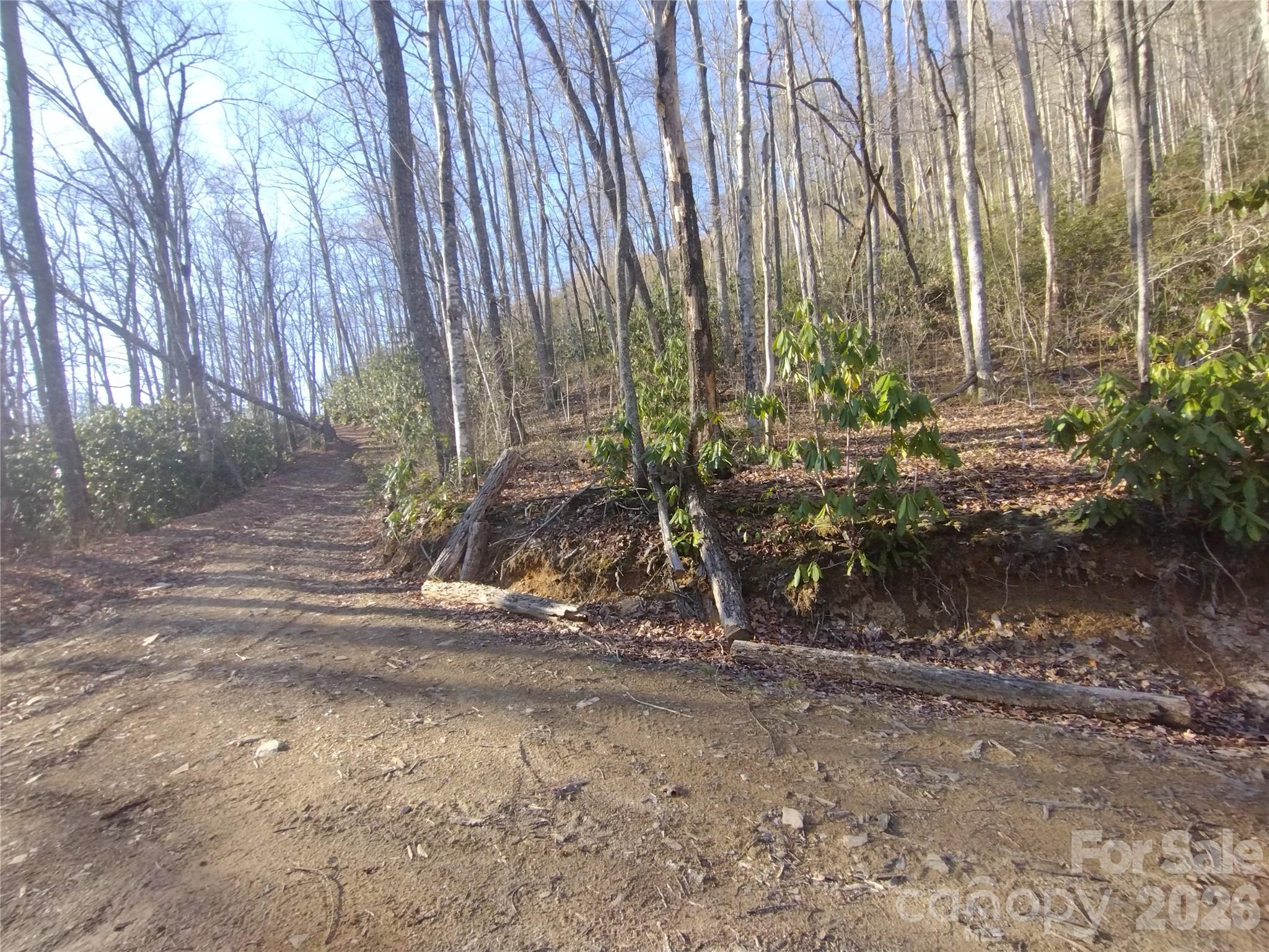 main property photo 14