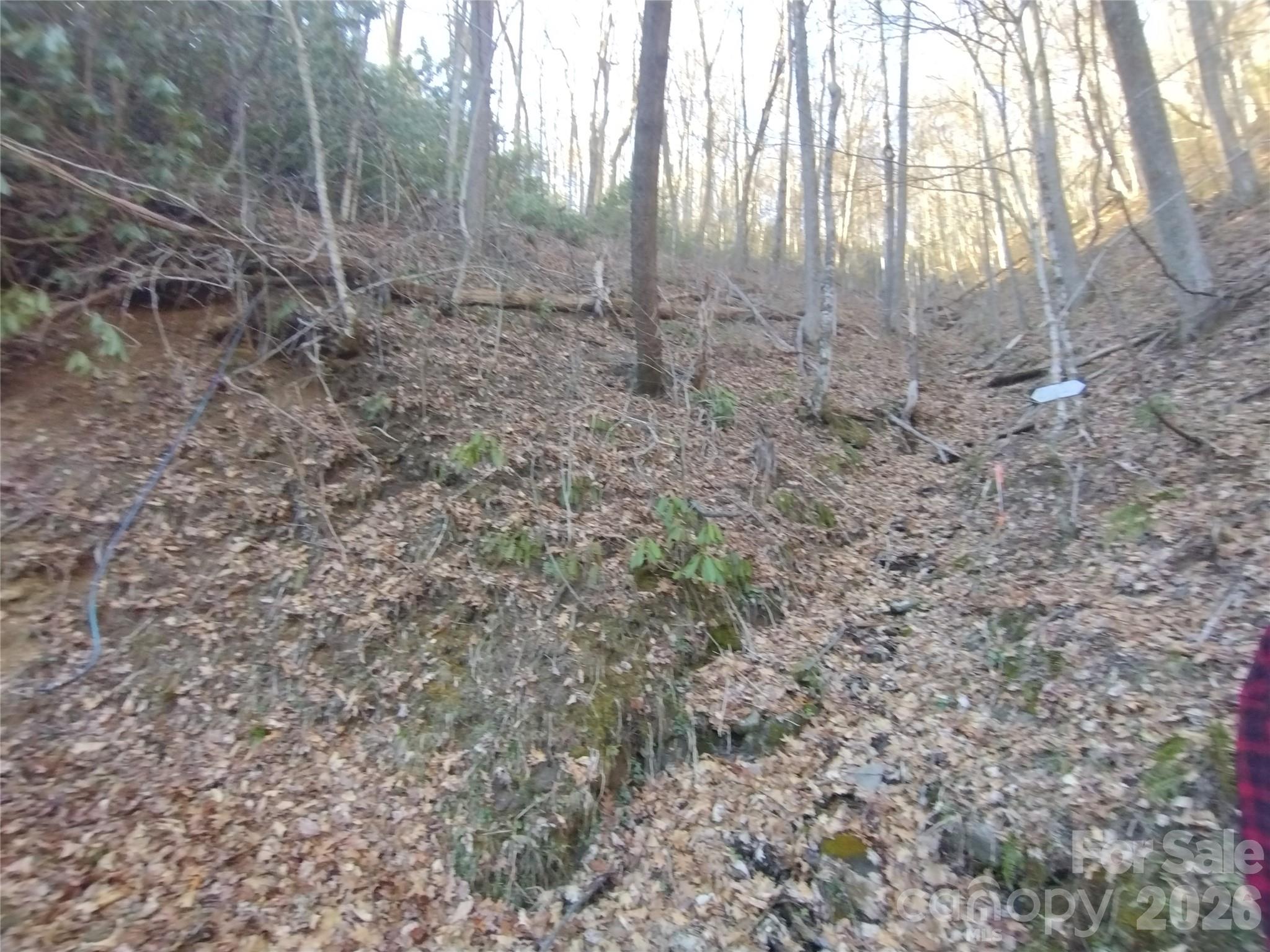 main property photo 18