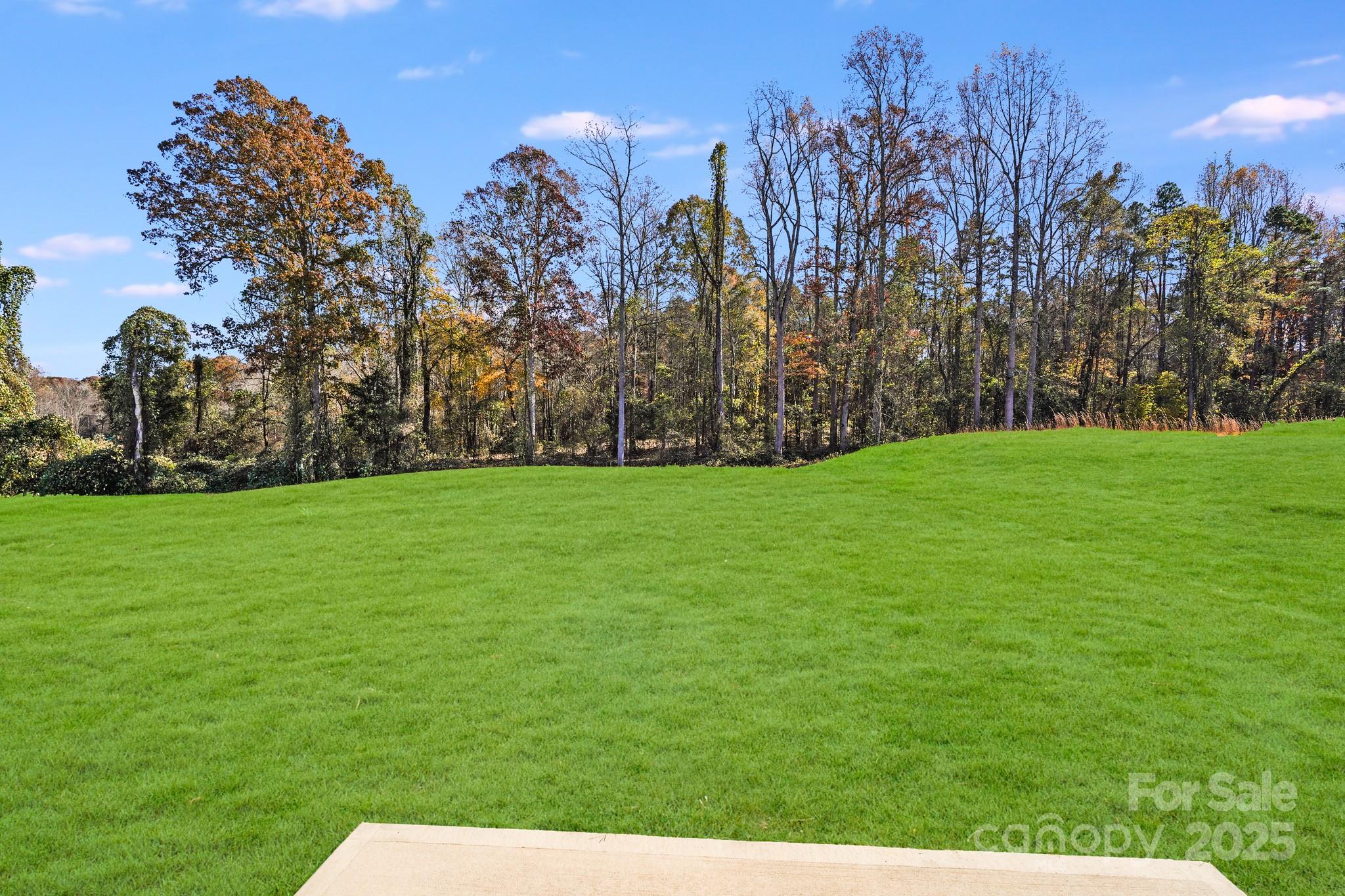 property viewer photo 46